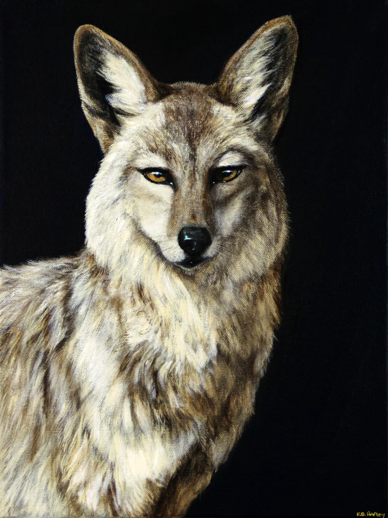 Moonlight Coyote