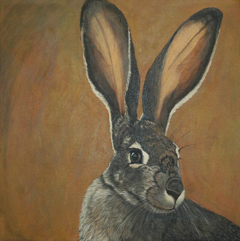 133 - Golden Hare Surprise - acrylic on canvas 20 x 20.jpg