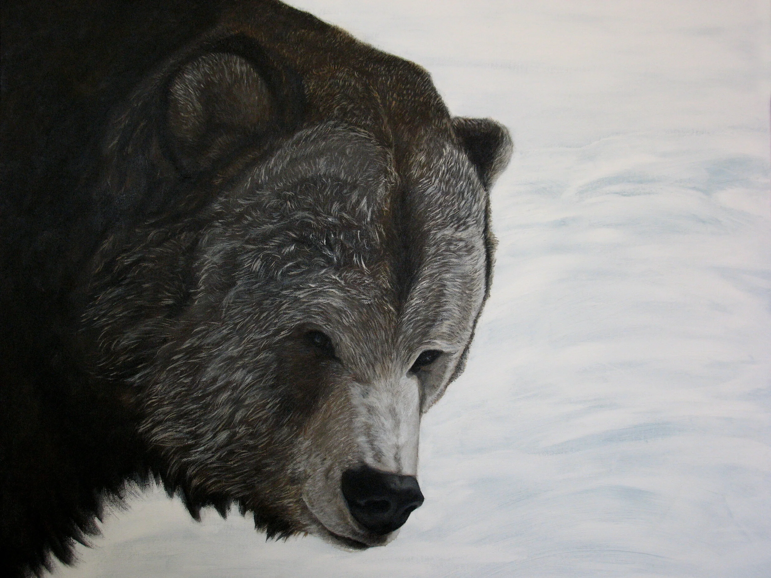 166 - Grizzly in Snow - acrylic on canvas 24 x 30.jpg
