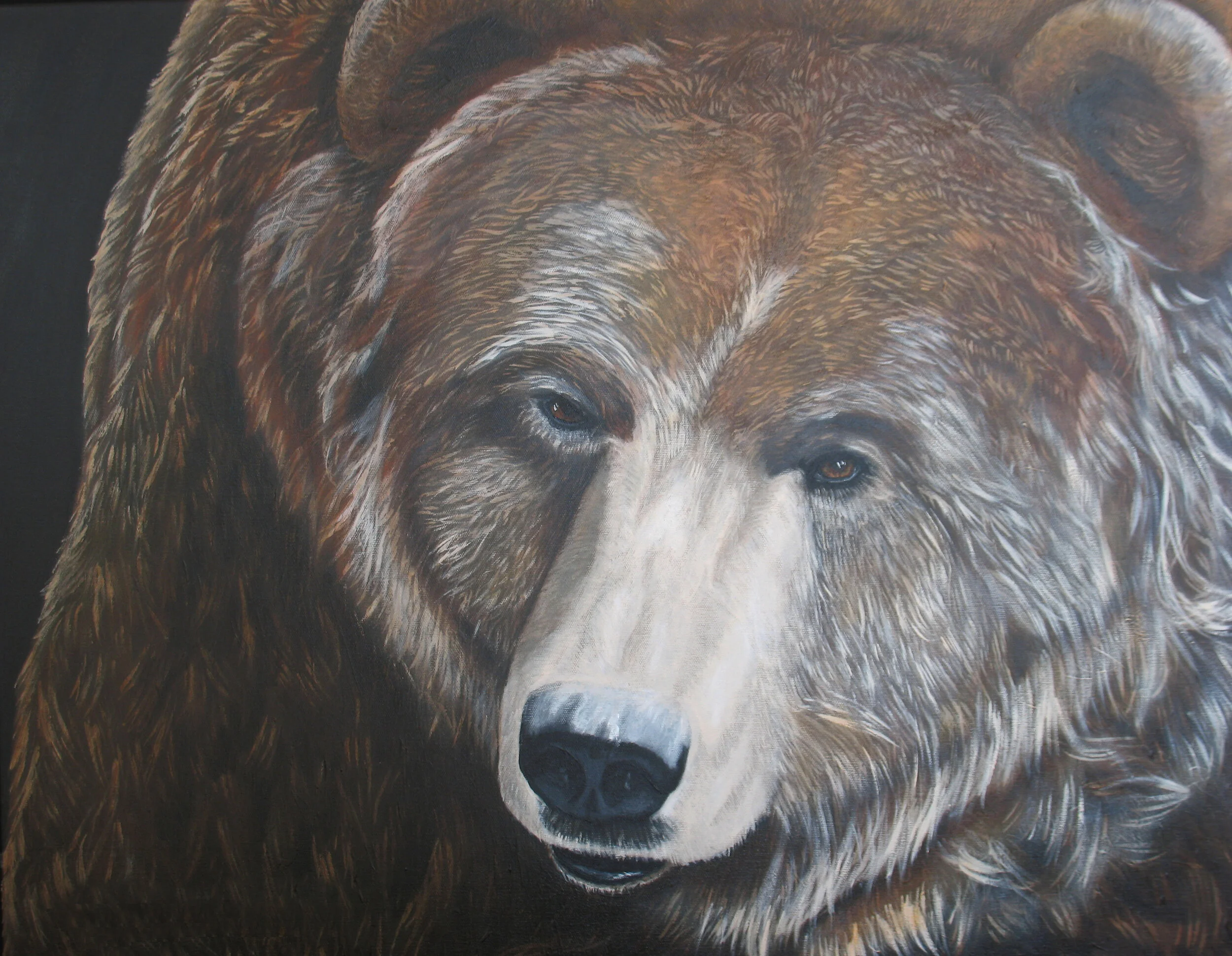 175 - Female Grizzly - acrylic on canvas 24 x 30.jpg