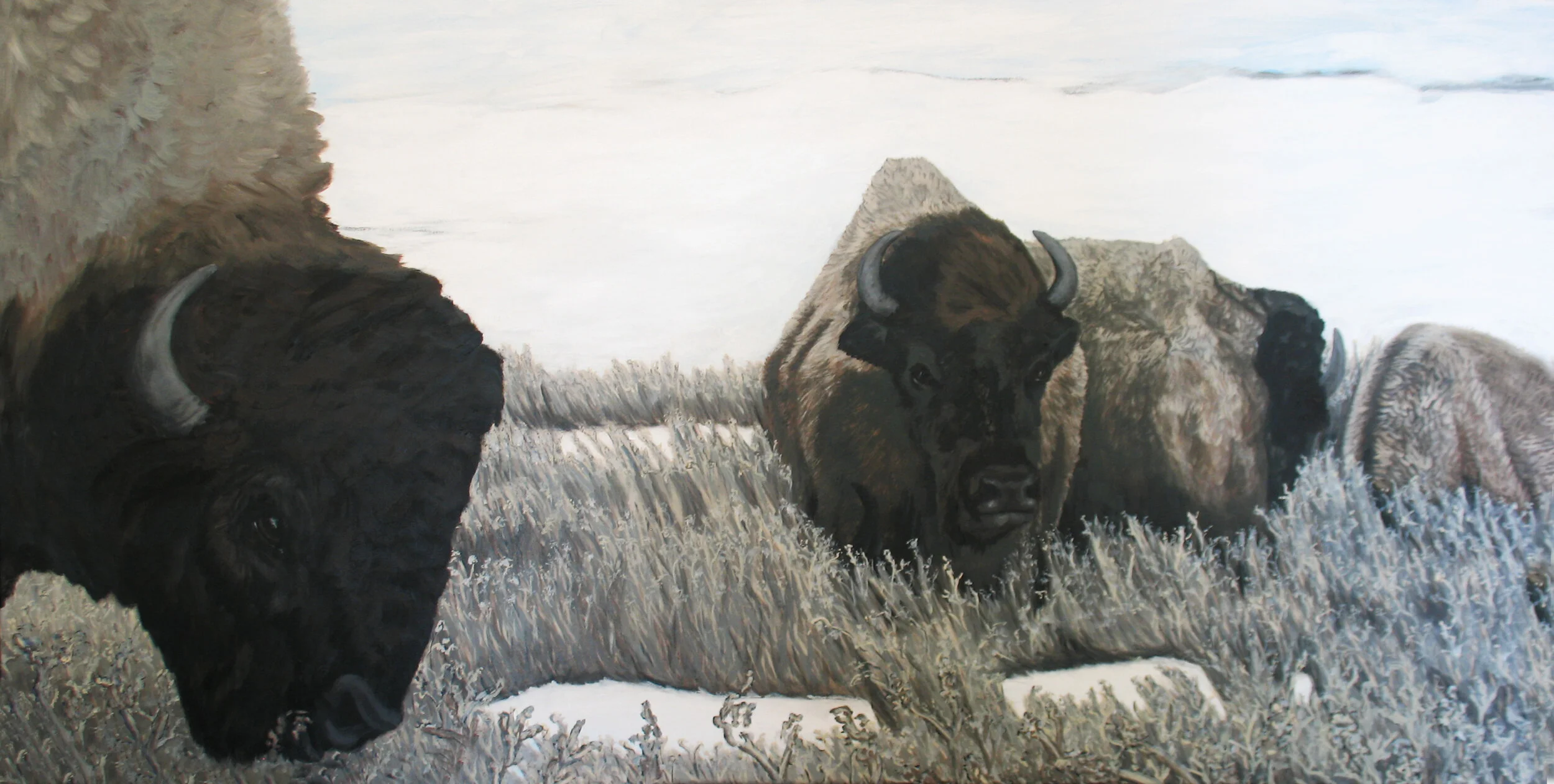 214 - Buffalo Herd in Winter - acrylic on canvas 24 x 48.jpg