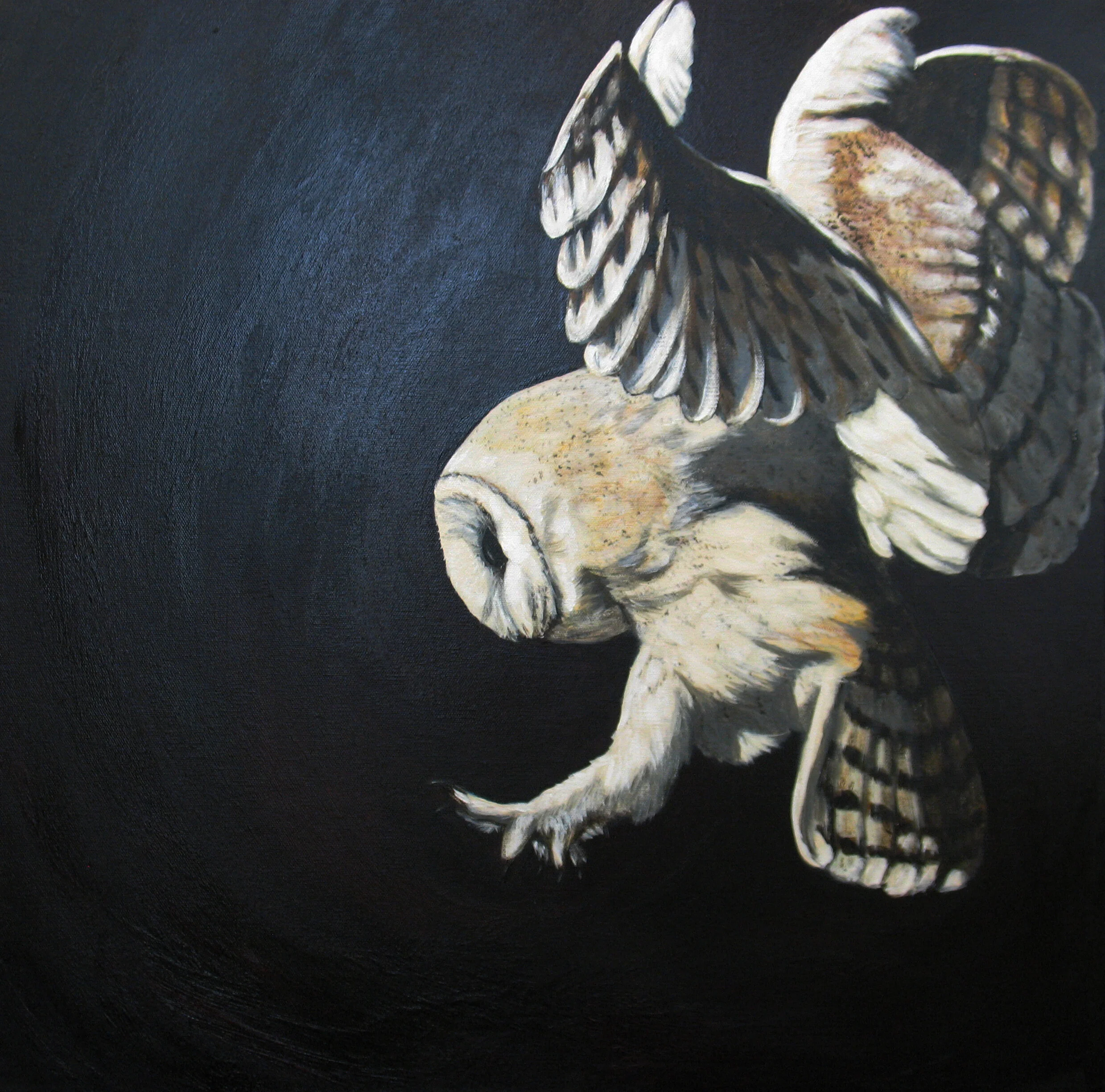256 - Swoop - acrylic on canvas 24 x 24.jpg