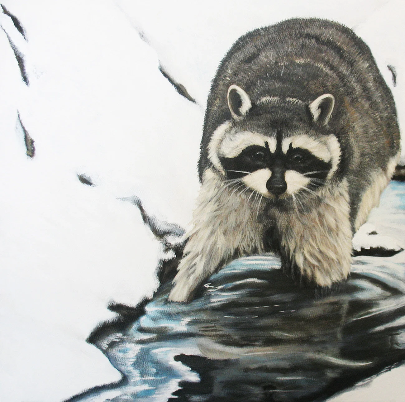 258 - Ice Fishing Coon - acrylic on canvas 18 x 18.jpg