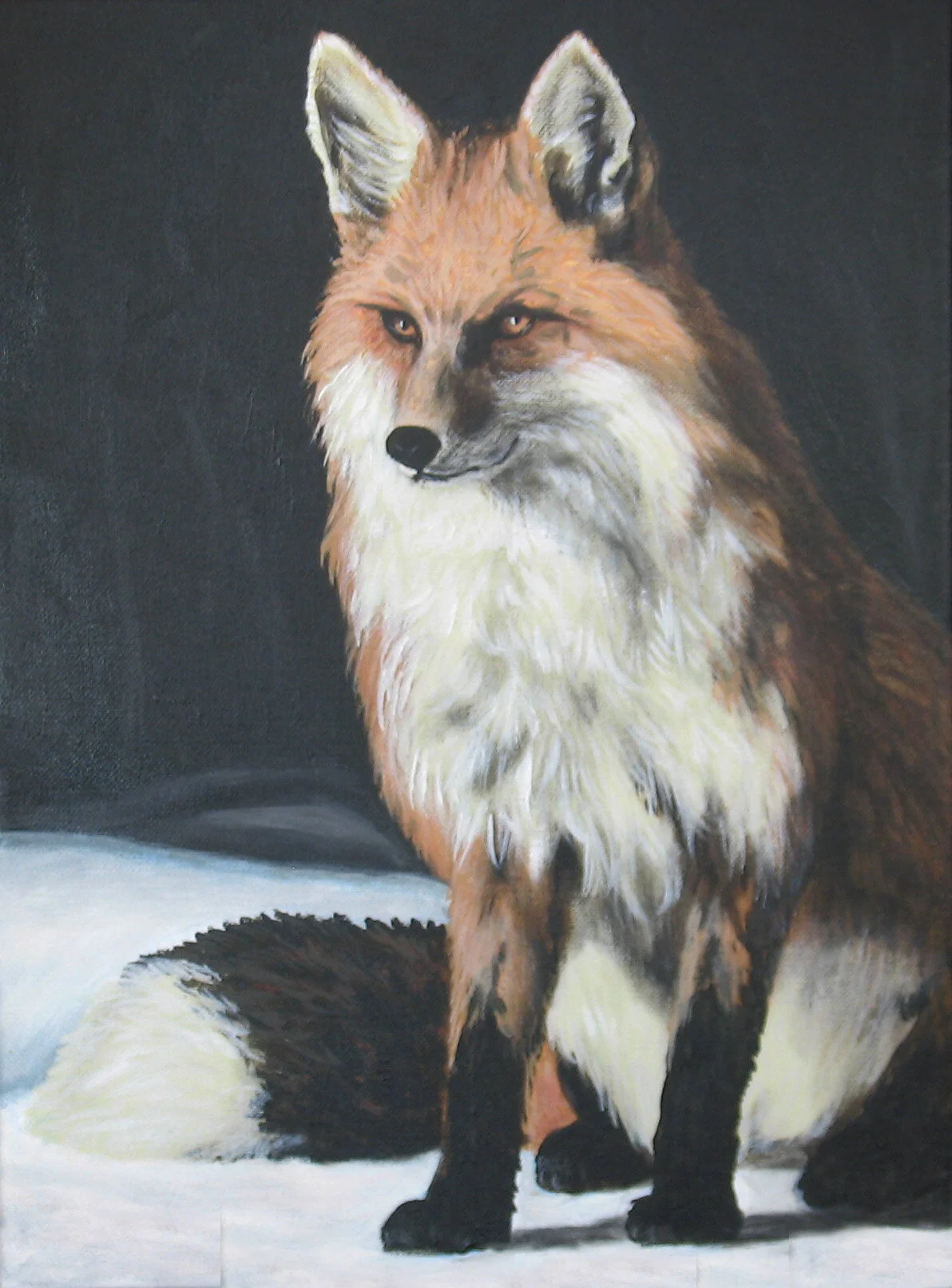 216 - Fox in Snow 2 - acrylic on canvas 12 x 16.jpg