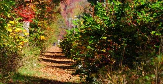 Ashland Trolley Line Trail