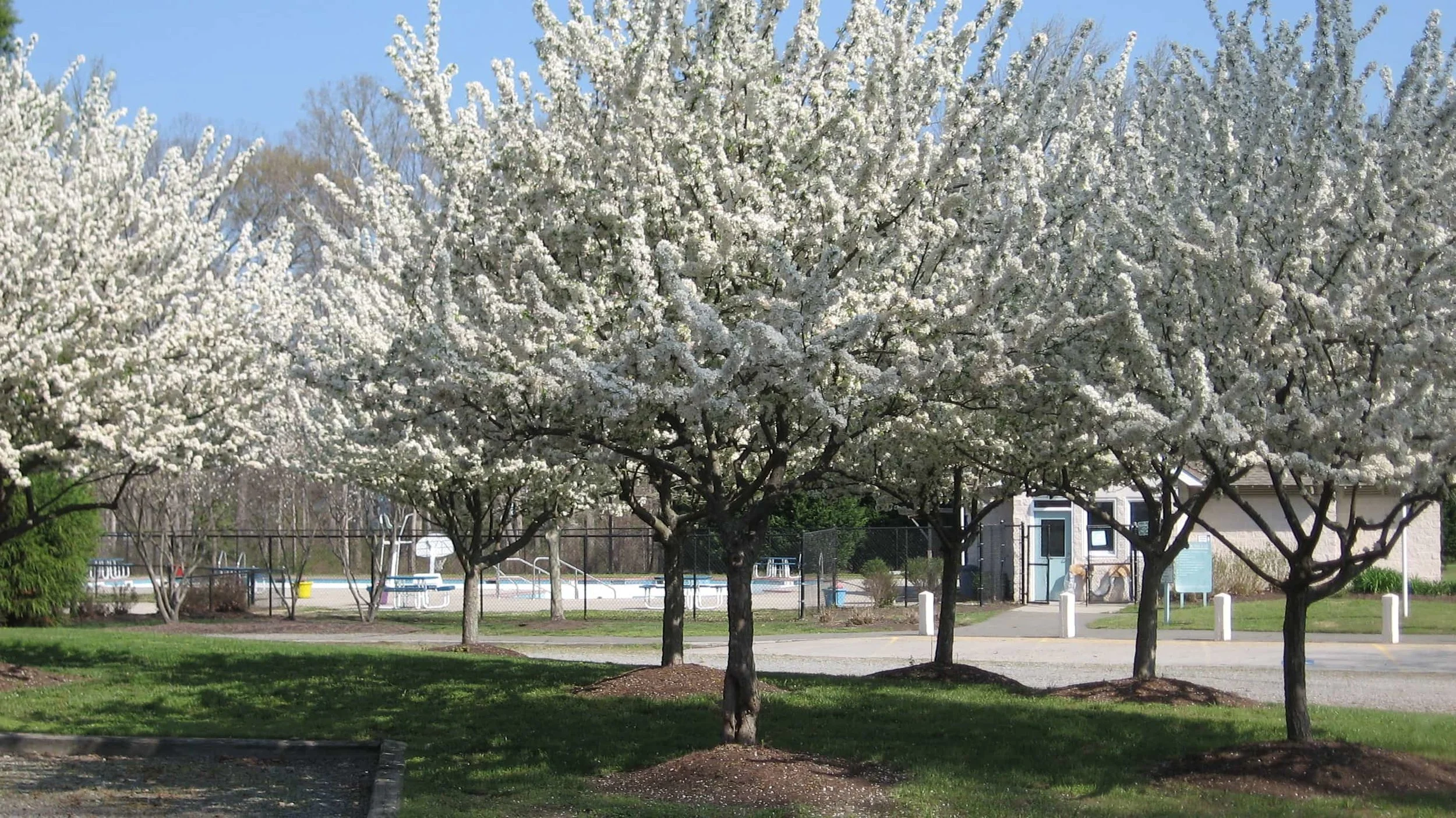 Town of Ashland Parks & Recreation