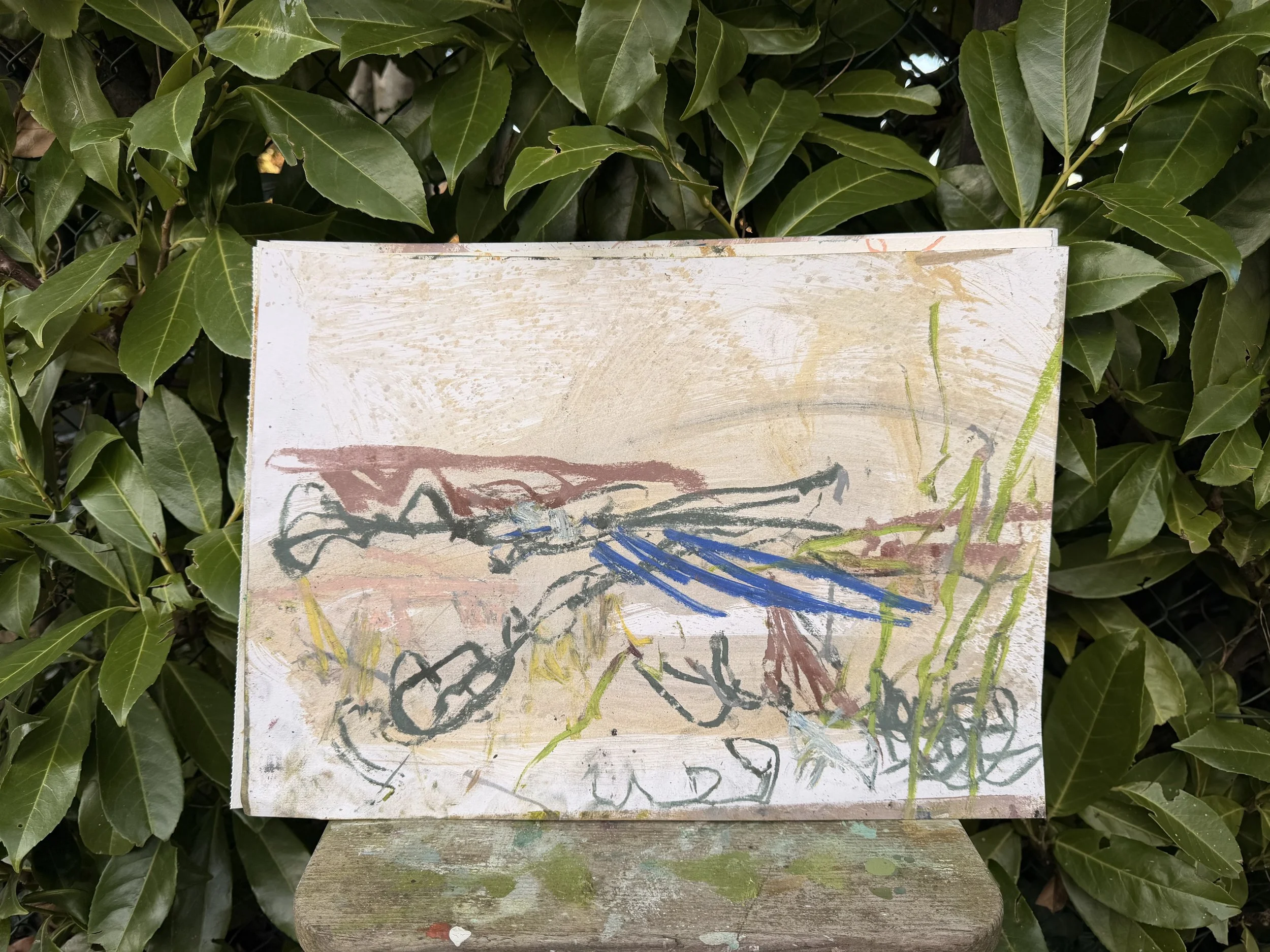 field note 71.jpg