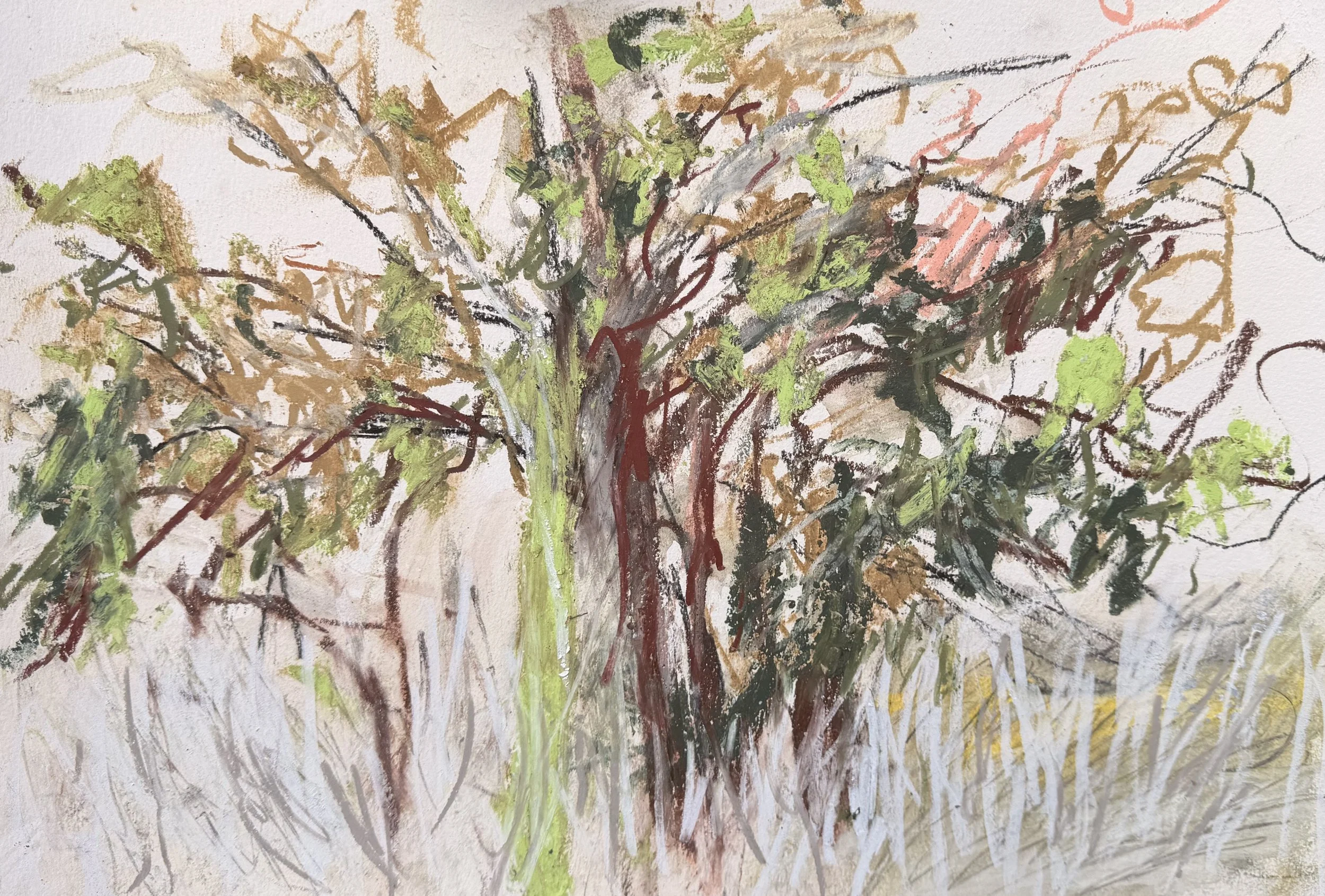 field note 72.jpg