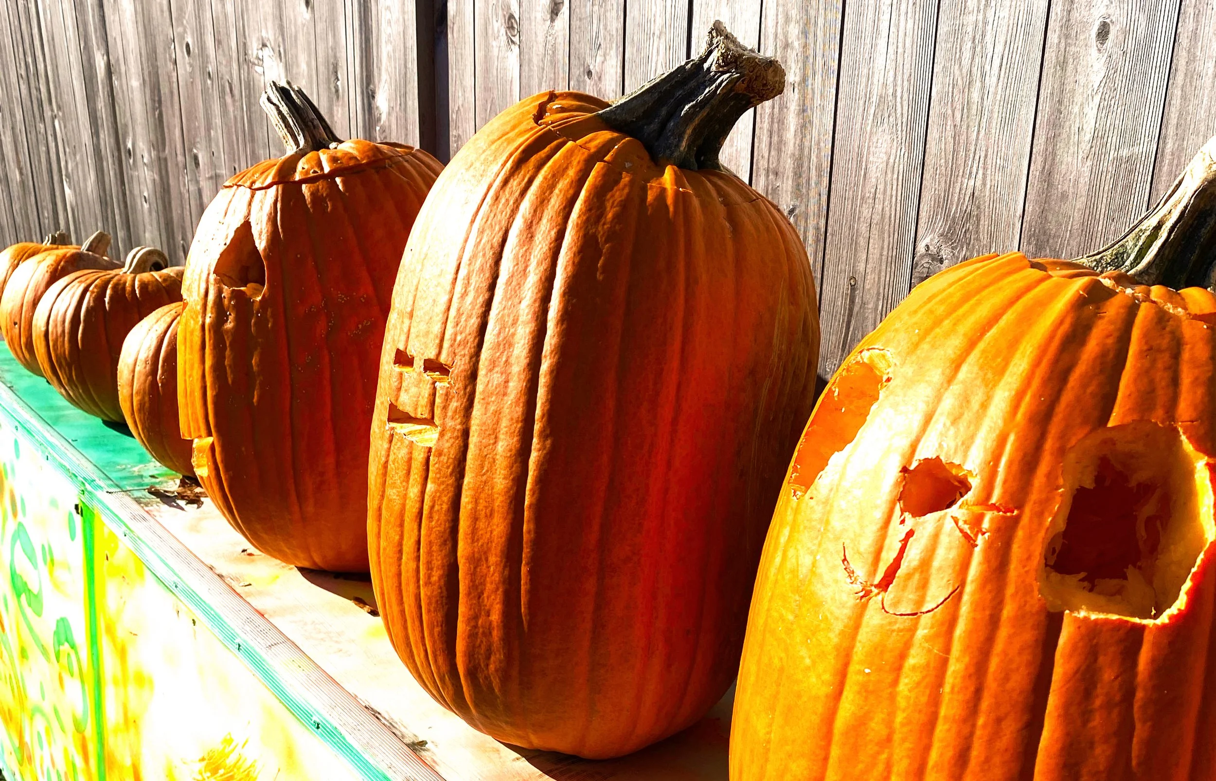 Newsletter: October 2023