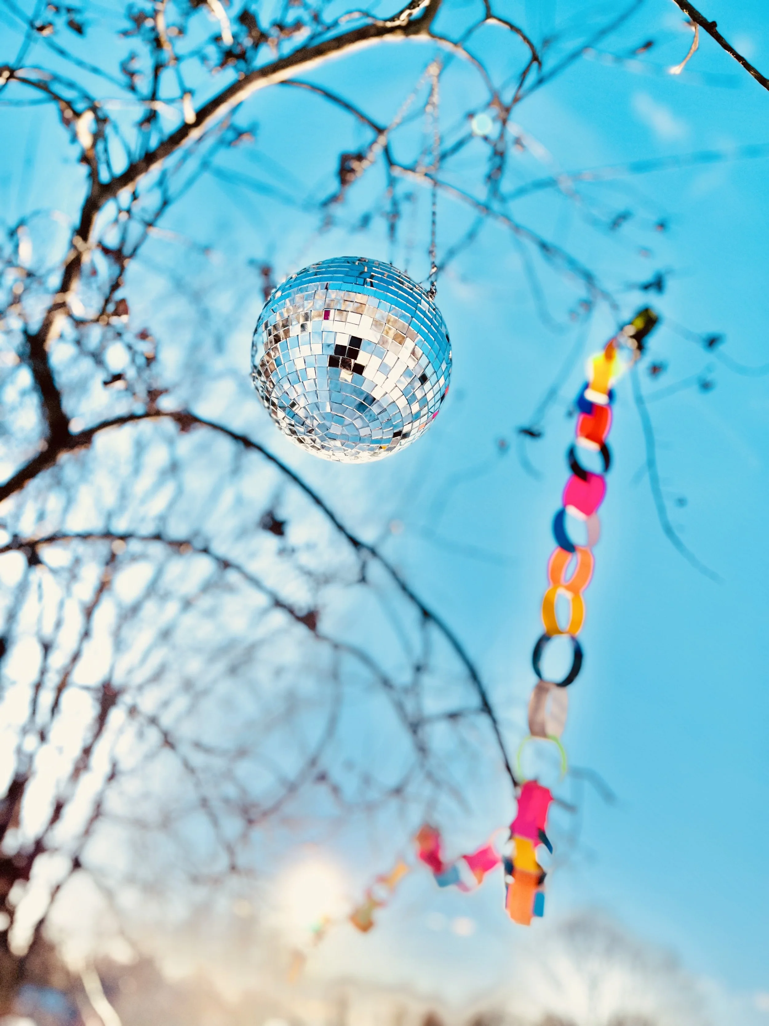 Newsletter: February 2026