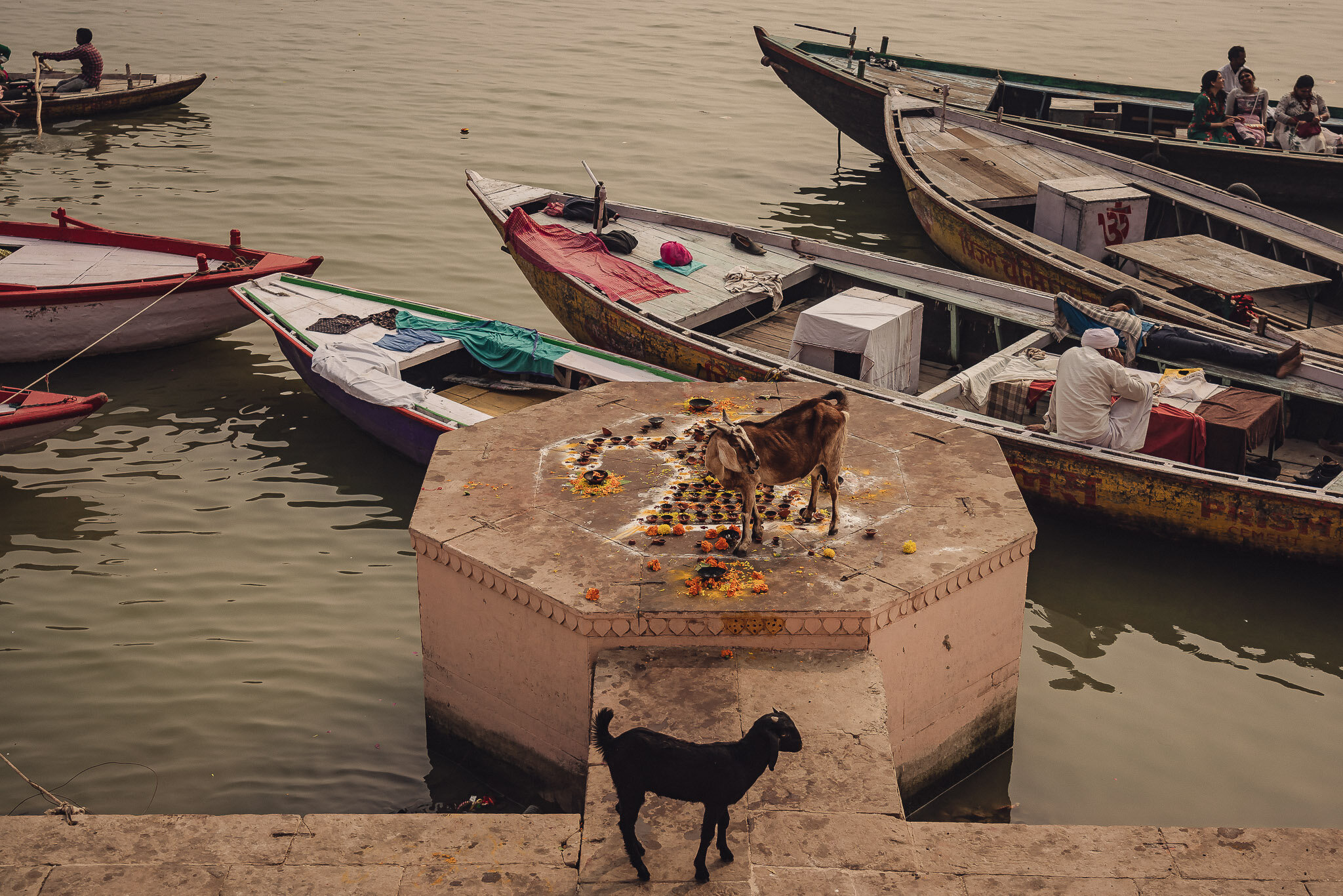 Ganges Varanasi 2019 Website5.jpg