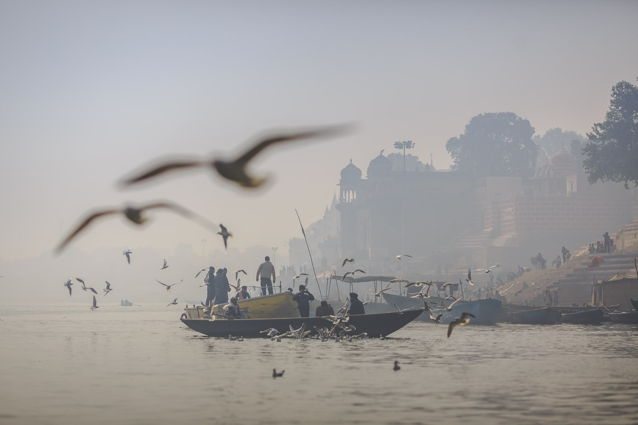 Varanasi2015 Website38.jpg