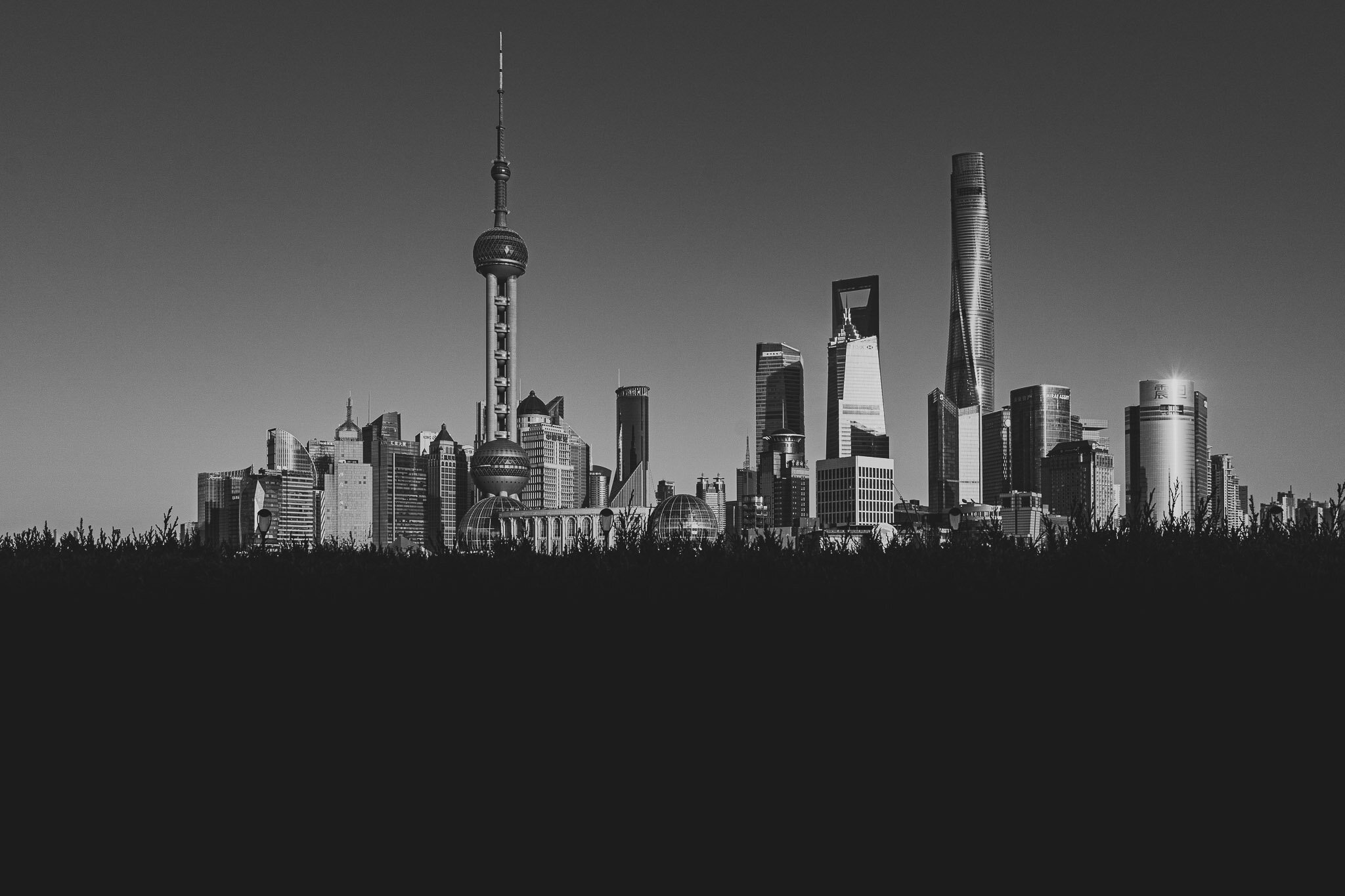 Shanghai 2020 Website31.jpg