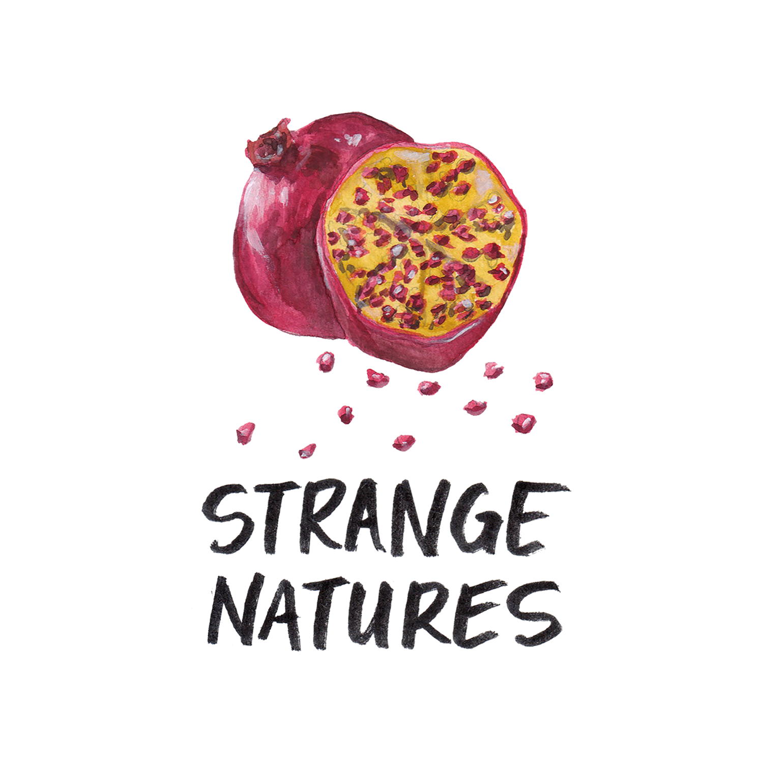 1st Logo.png