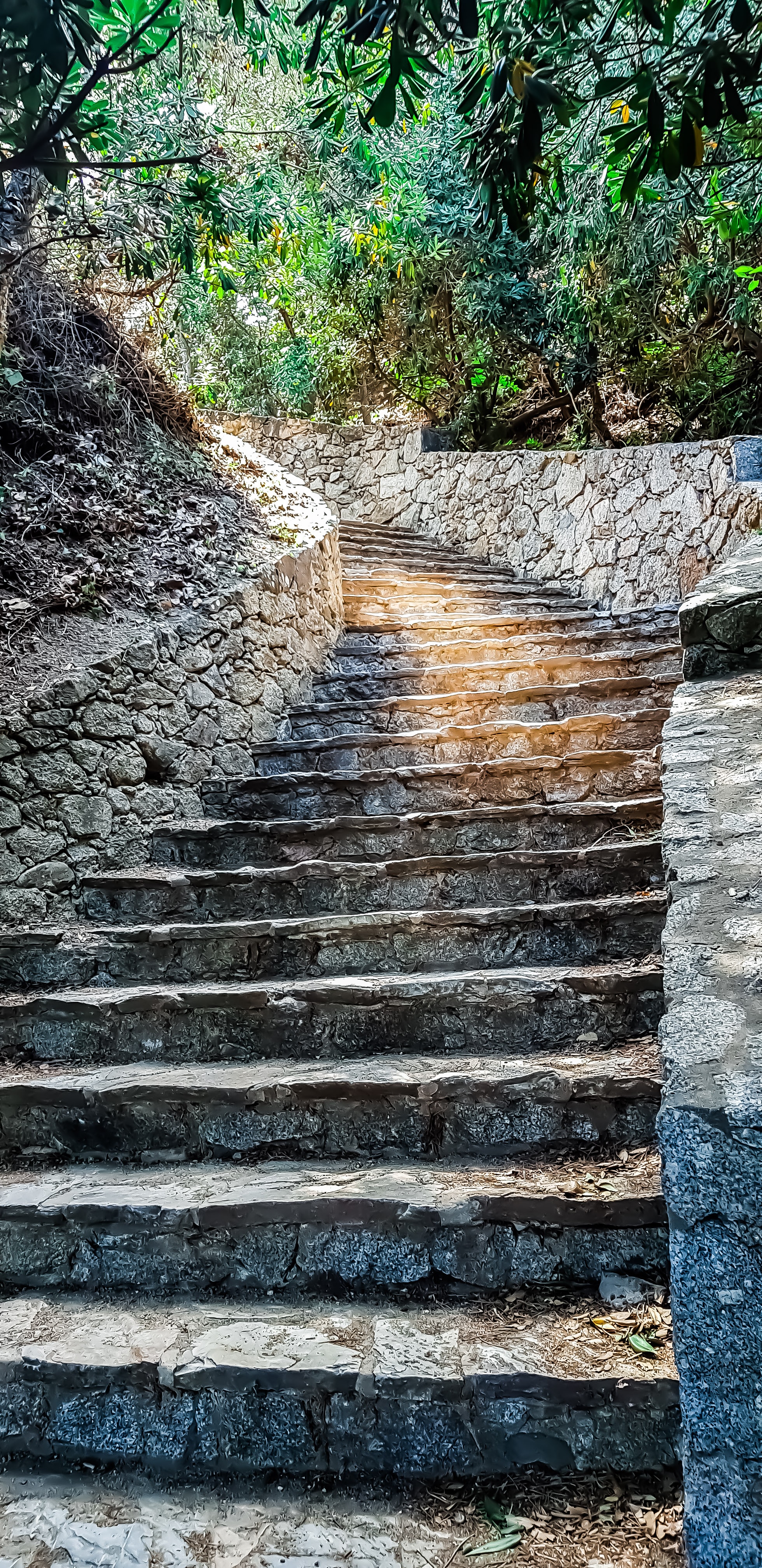Staircase with light.jpg