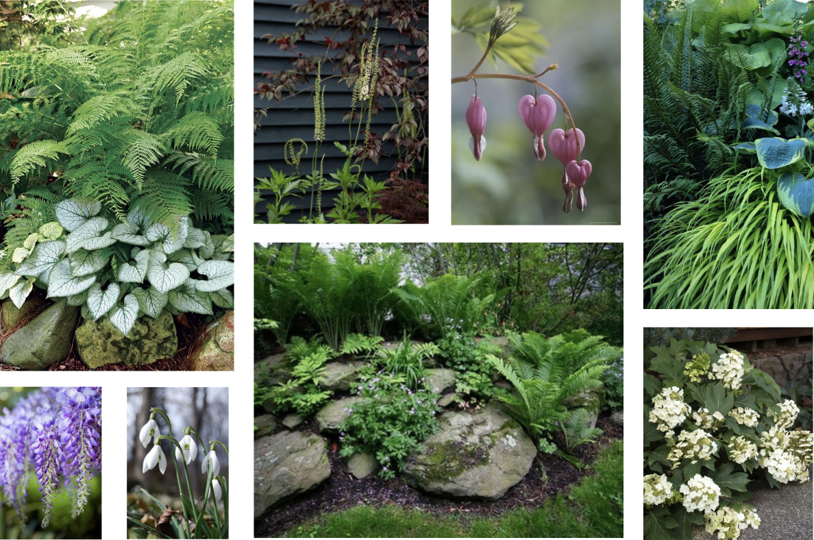 Screen Shot 2020-02-05 at 8.36.45 PM.png