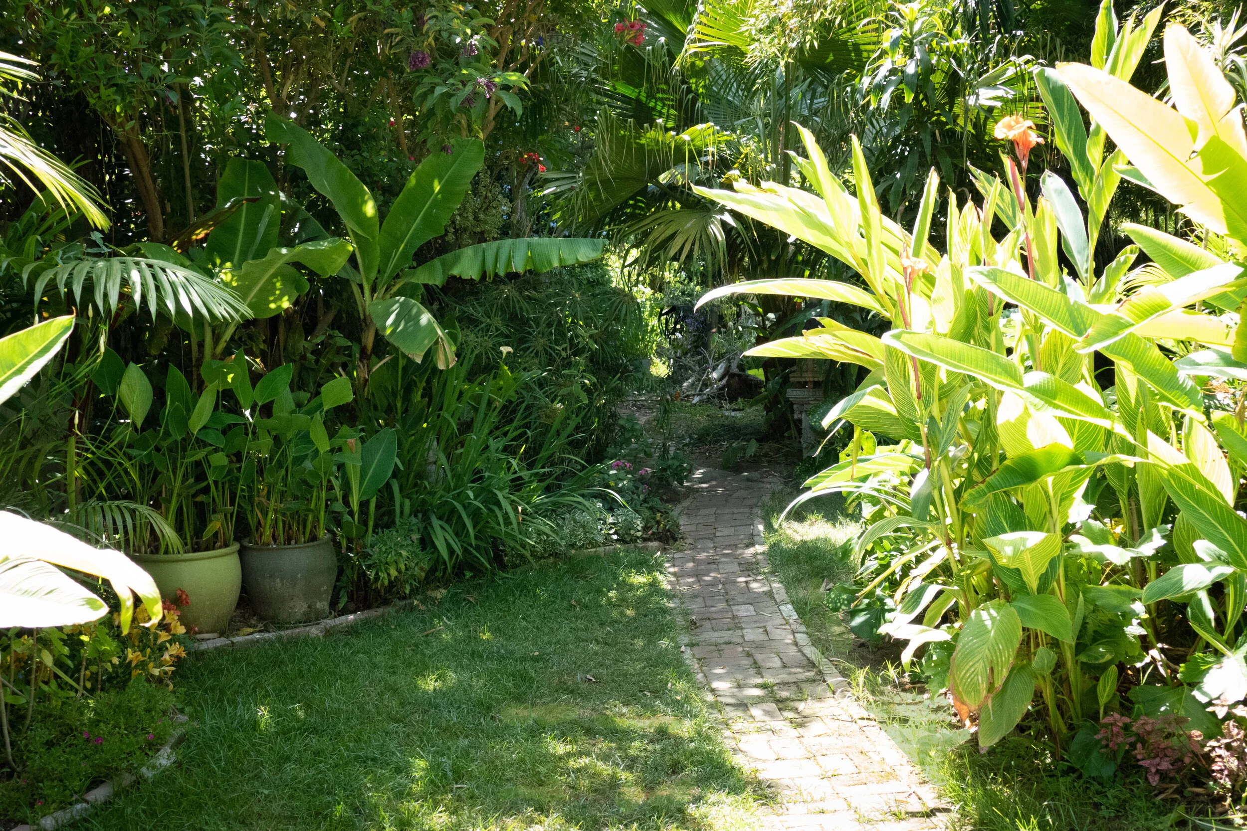 Bali Inspired Oasis — Sweet Smiling Landscapes, Landscape Design