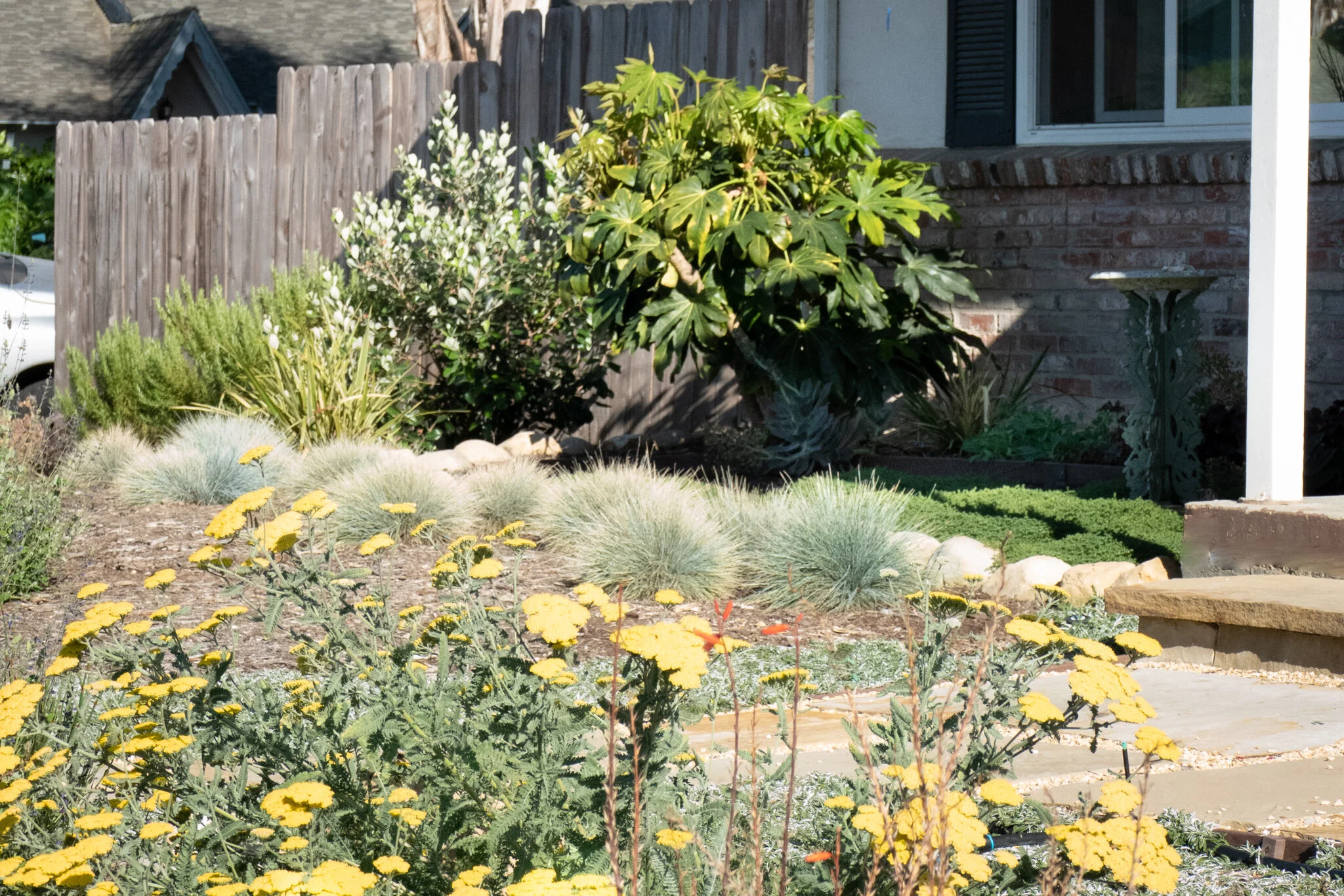 Drought Tolerant Landscape Design Low Water Love Sweet Smiling Landscapes Landscape Design