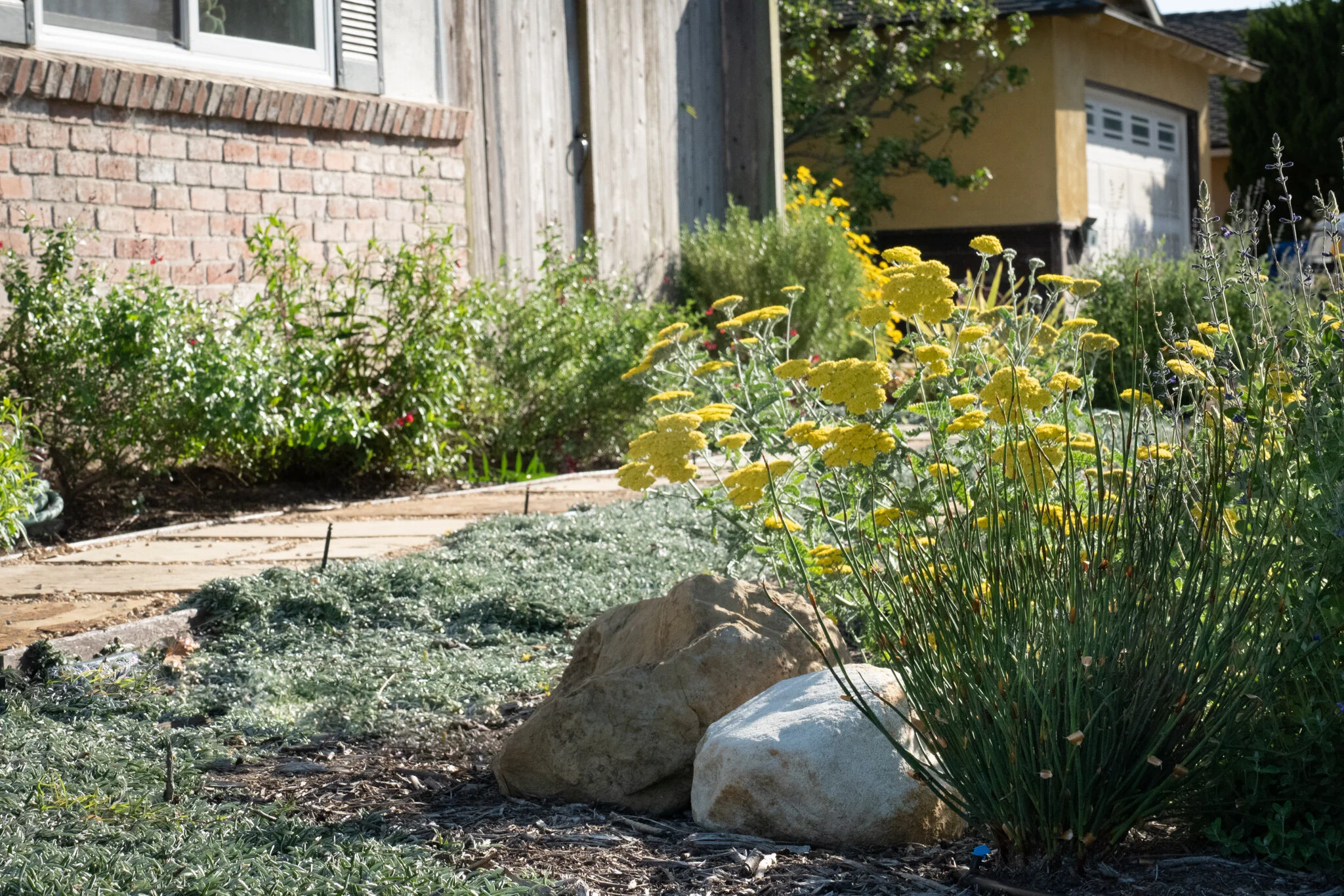 Drought Tolerant Landscape Design Low Water Love Sweet Smiling Landscapes Landscape Design