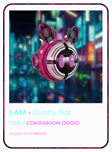 10_GEN_2_I Am_Bunny Bot.png