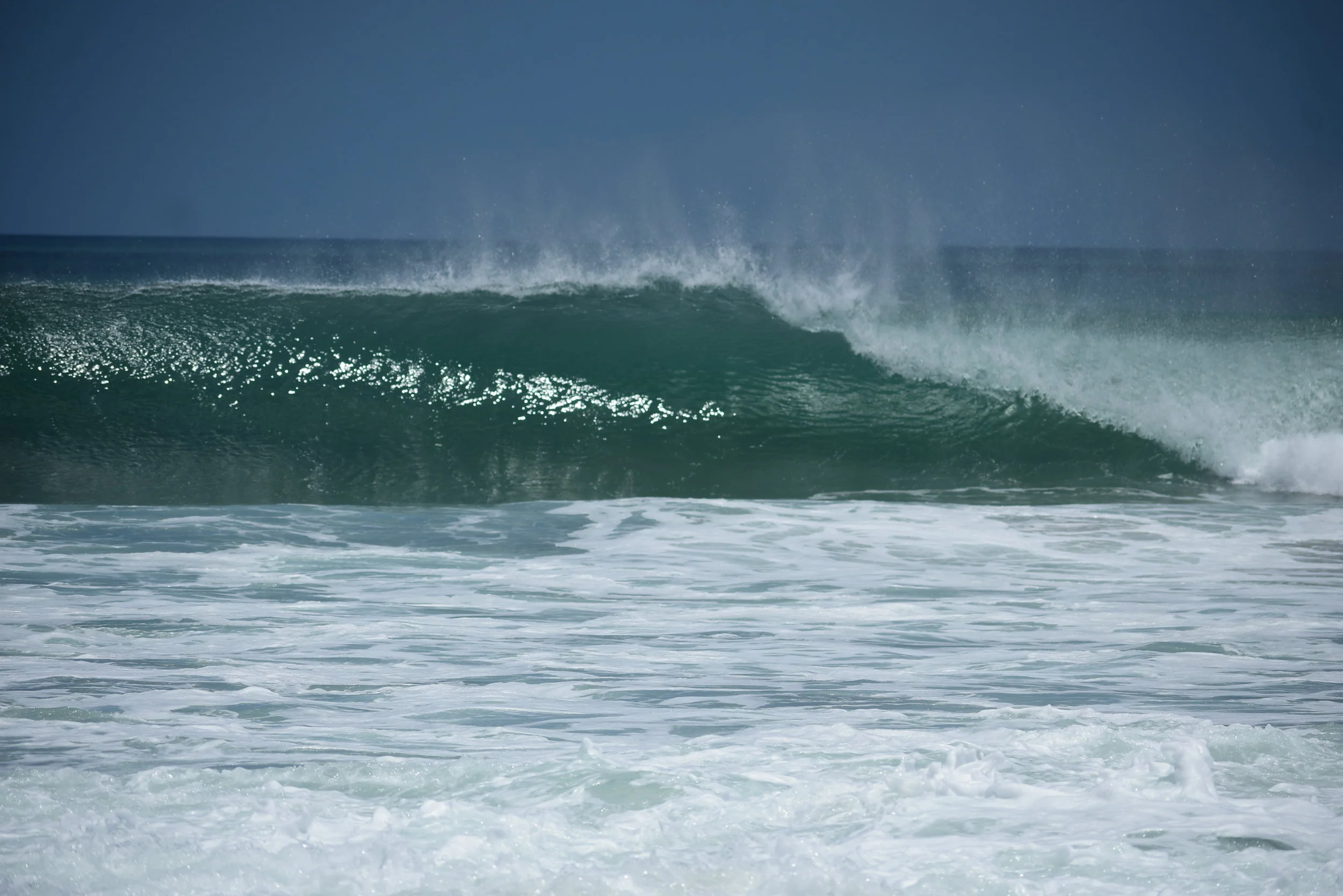 DSC_0664.JPG