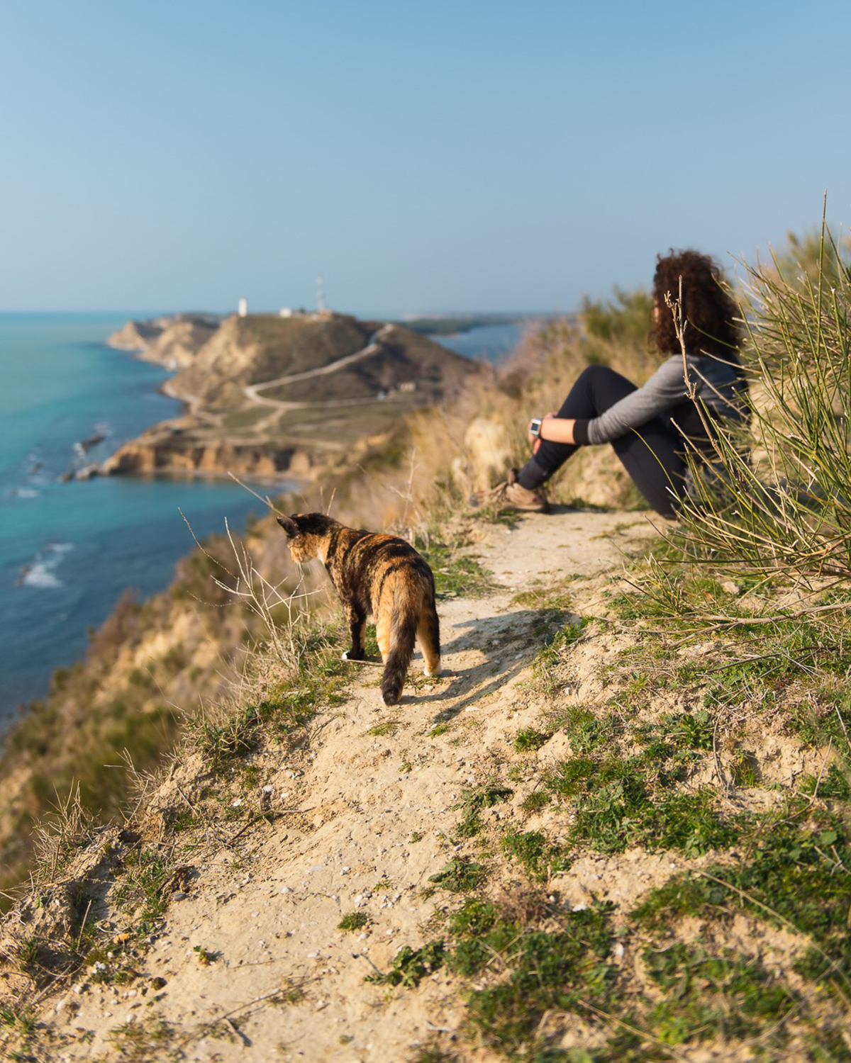 _DSC2695-Edit-5.jpeg