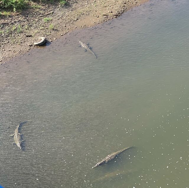 Work hard, play hard. After a long week of fast paced work, we like to treat everyone to new sights like the famous crocodile river in Costa Rica or untouched beaches
.
.
.
#premed #predental #physicaltherapystudent #socialwork #medschool #passionate