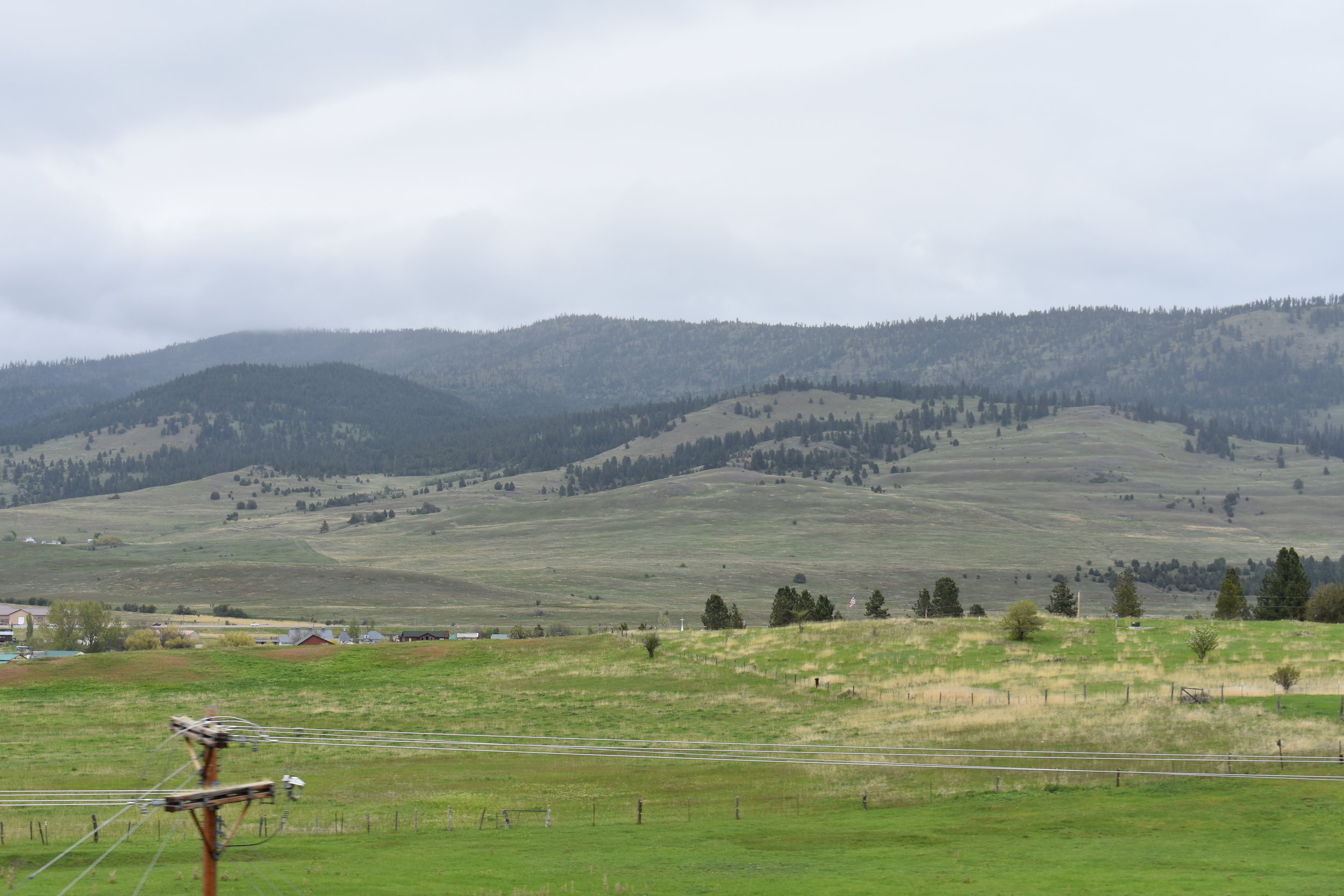 DSC_0005.JPG