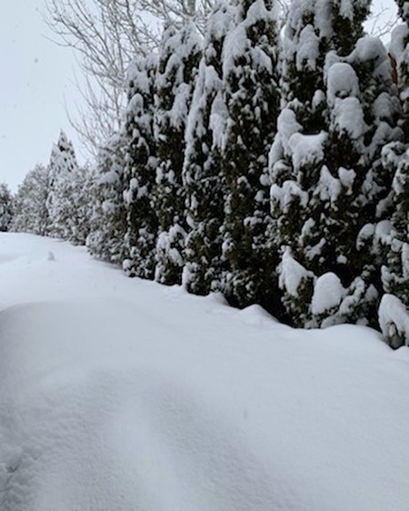 Did you know that Kalispell, Montana has an average of 48 inches of snowfall each year? That's a biigg change for these Alabama folks. Good thing we like the cold!! Have you ever been to Montana? Share in the comments!