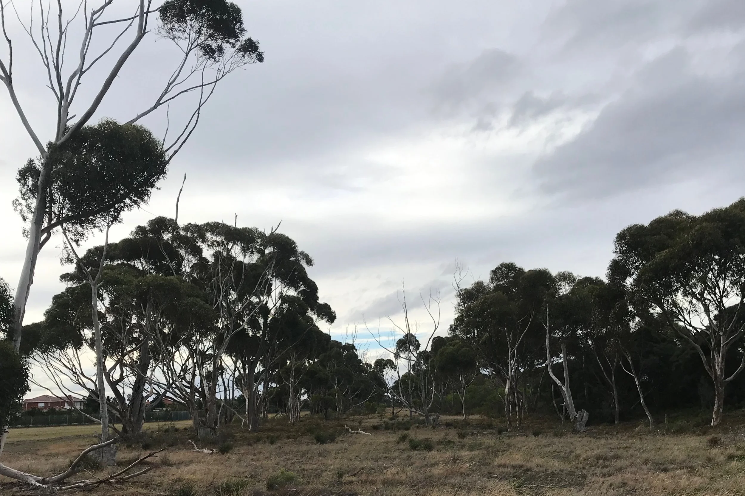 T-27 Motivation isn't a magic alchemy