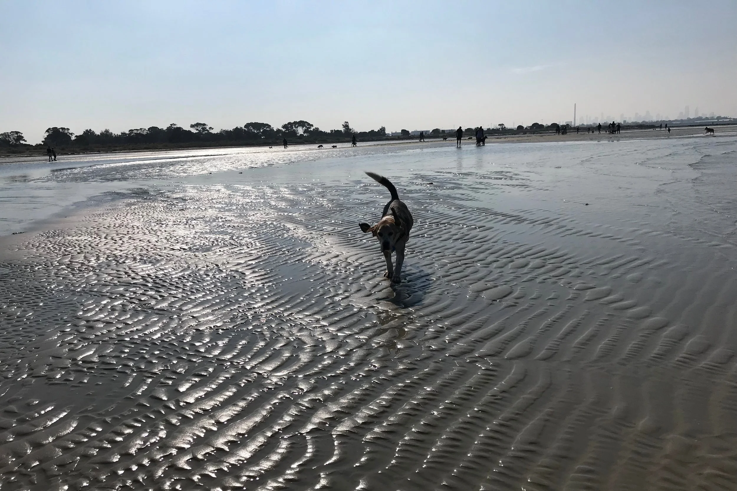 T-33 and the hamstrings are singing