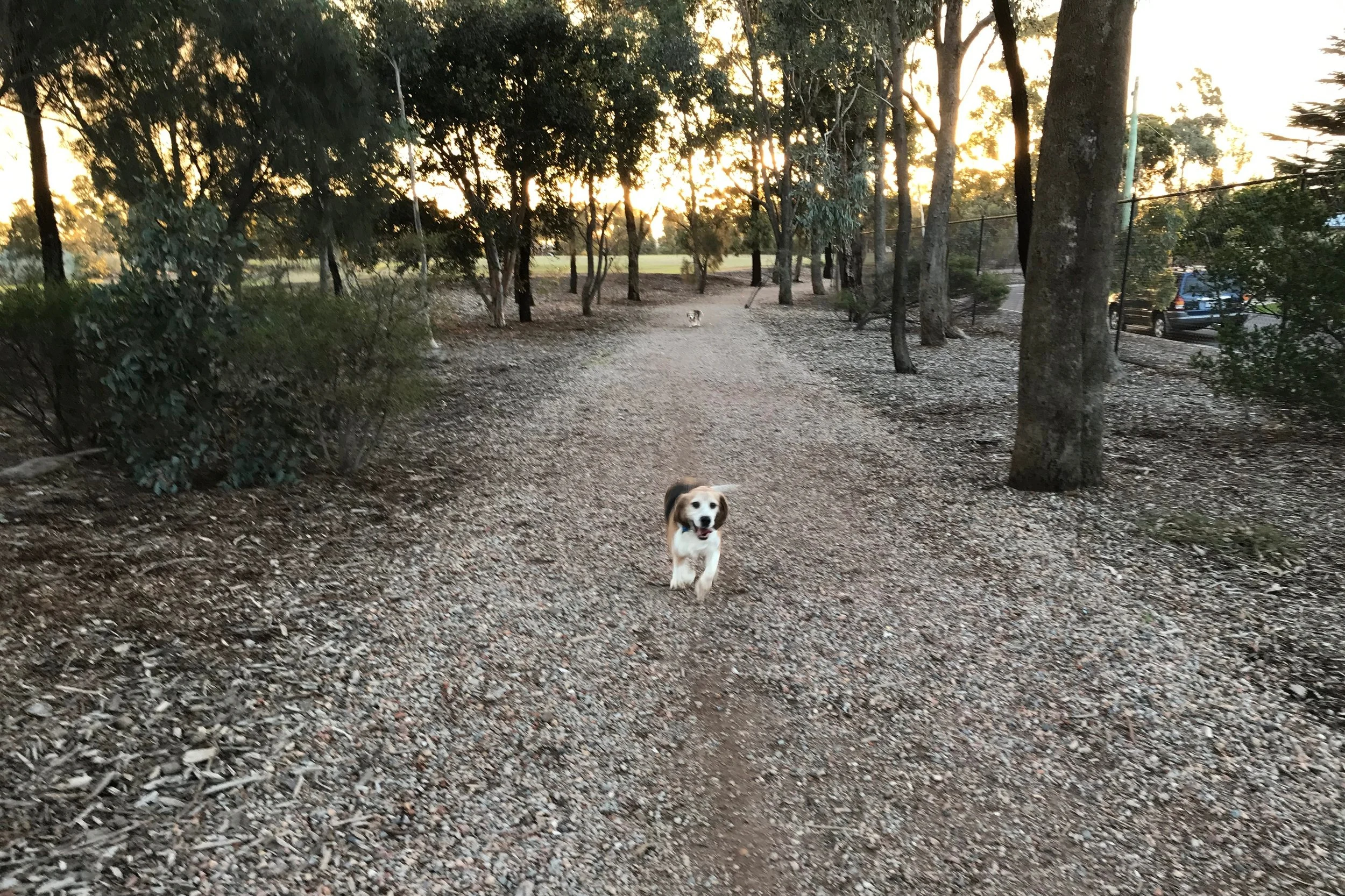 T-26 Stars and Stones