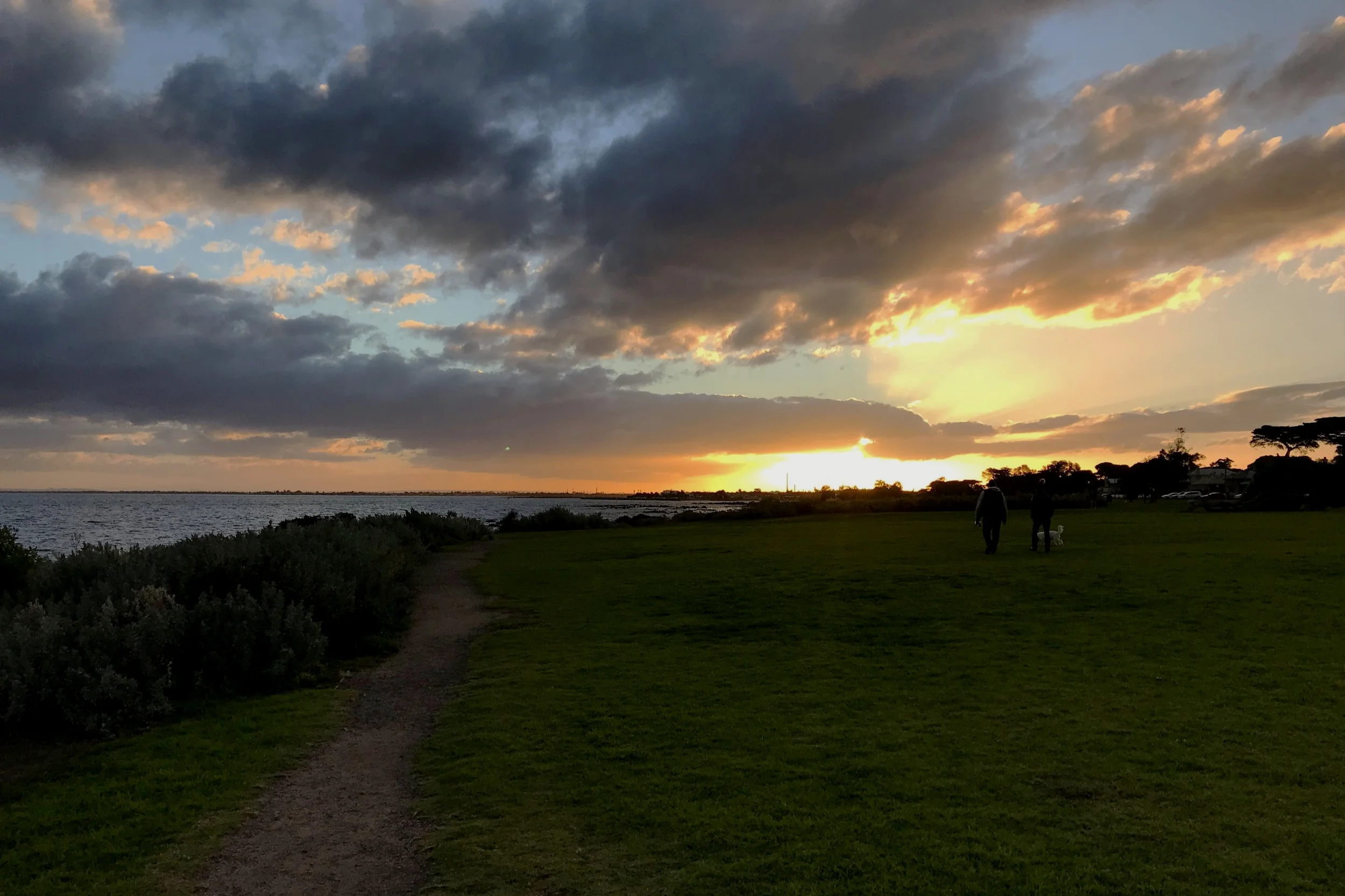 T-24 Great Expectations