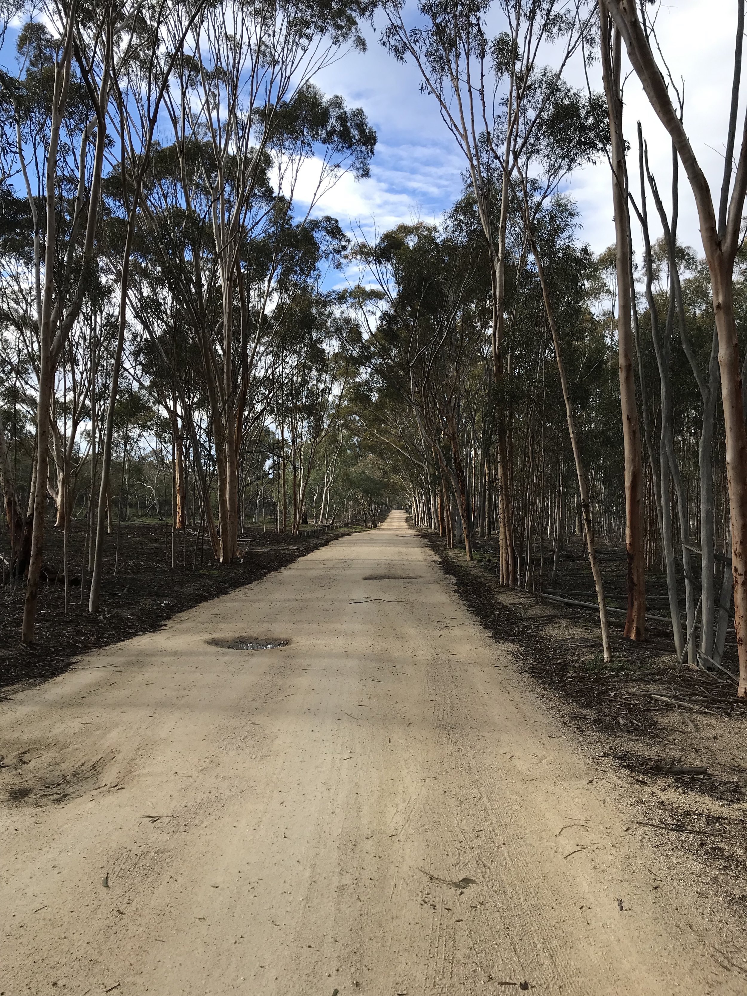 T-21 Perception is Reality