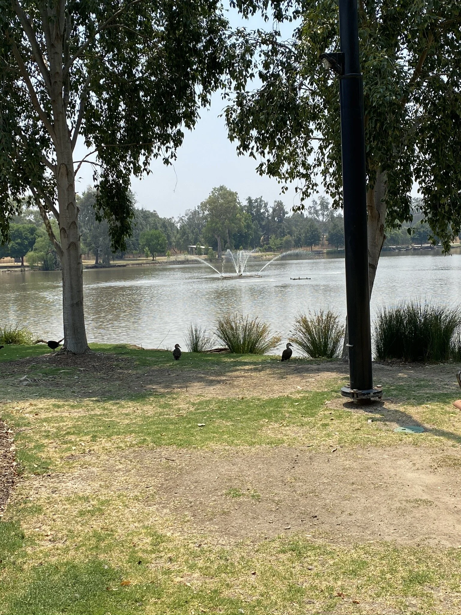 Bucolic lake view over lunch in Wodonga