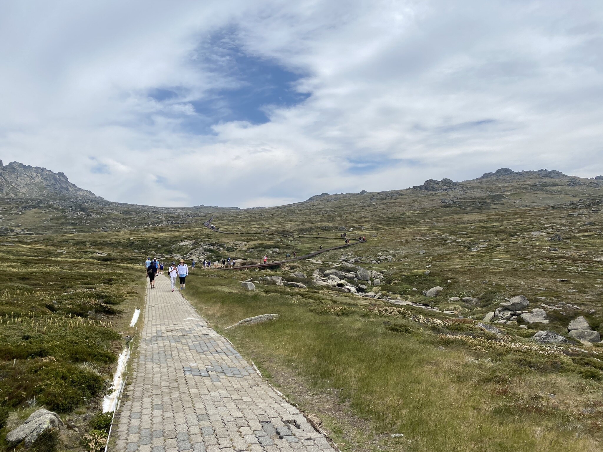 Path 1: the grey brick