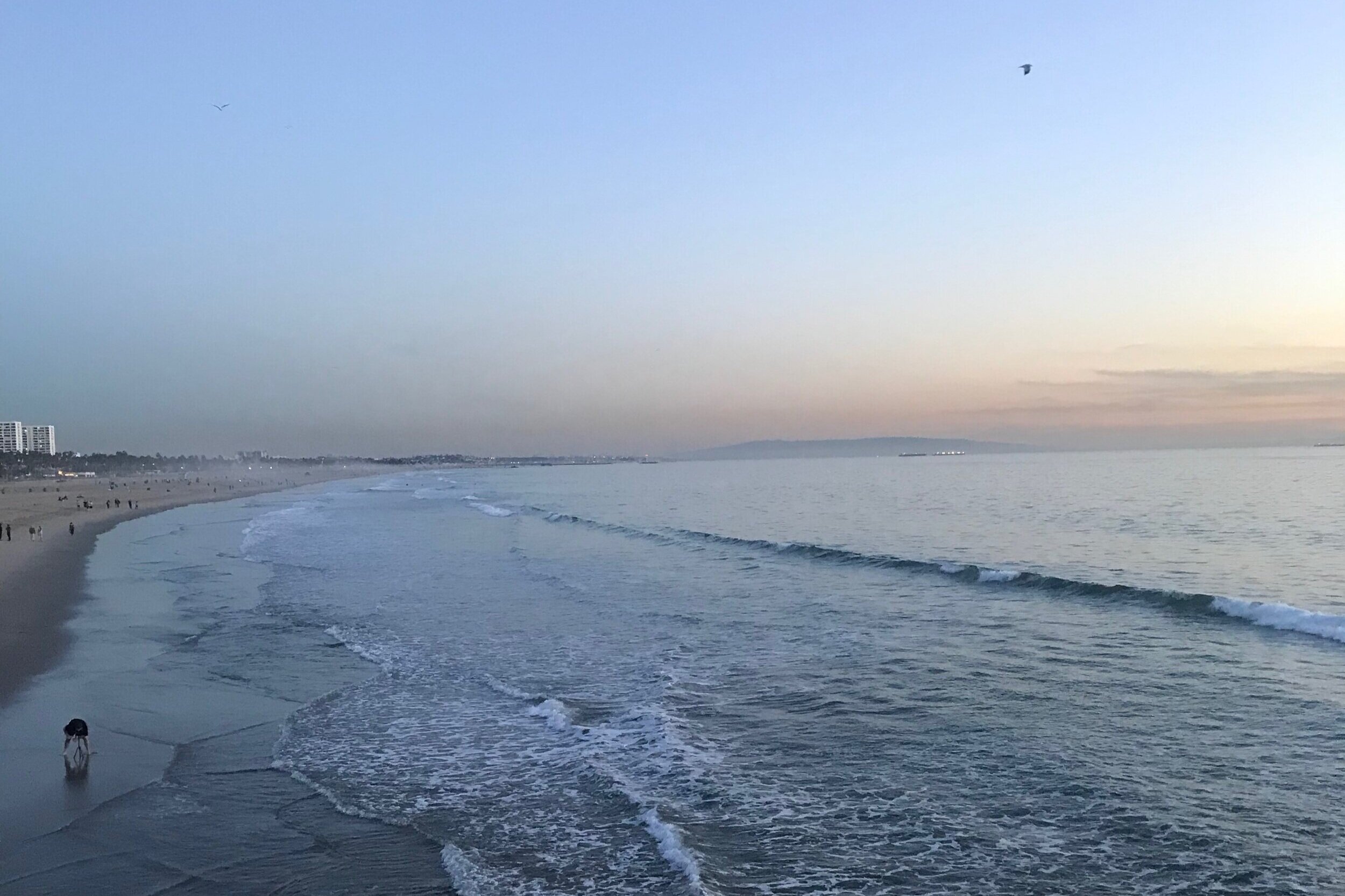 In which we go to 'Merica