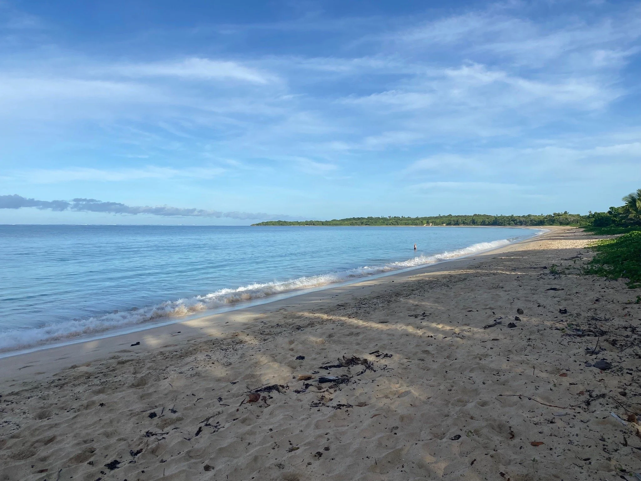 Week 1: In which we swim