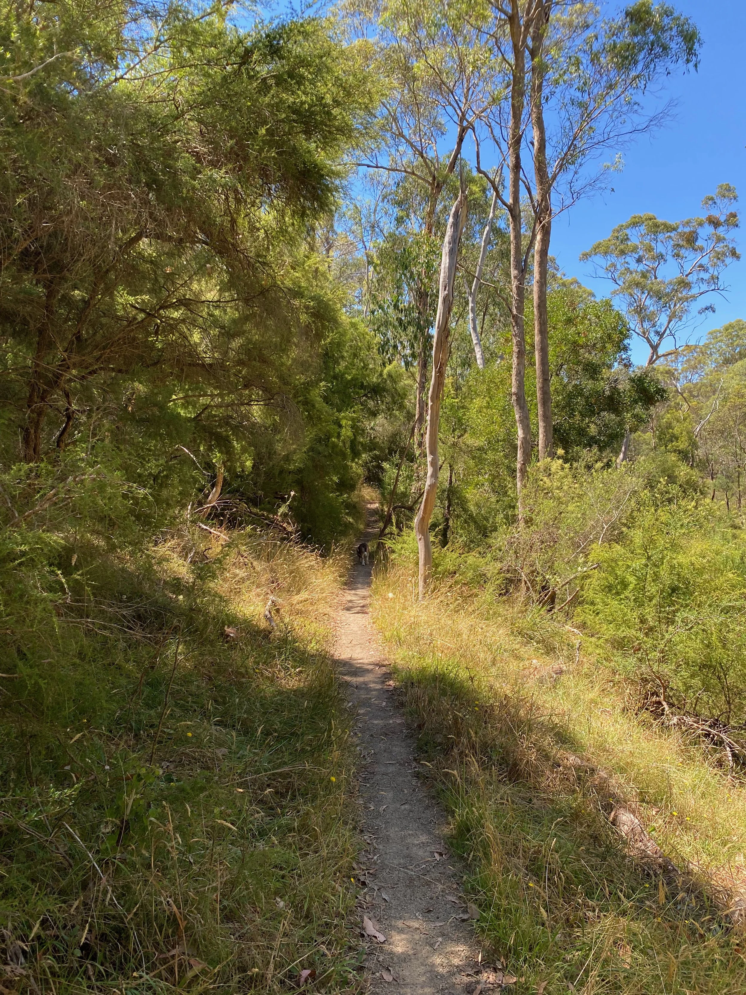 Week 2: The benefits of doing