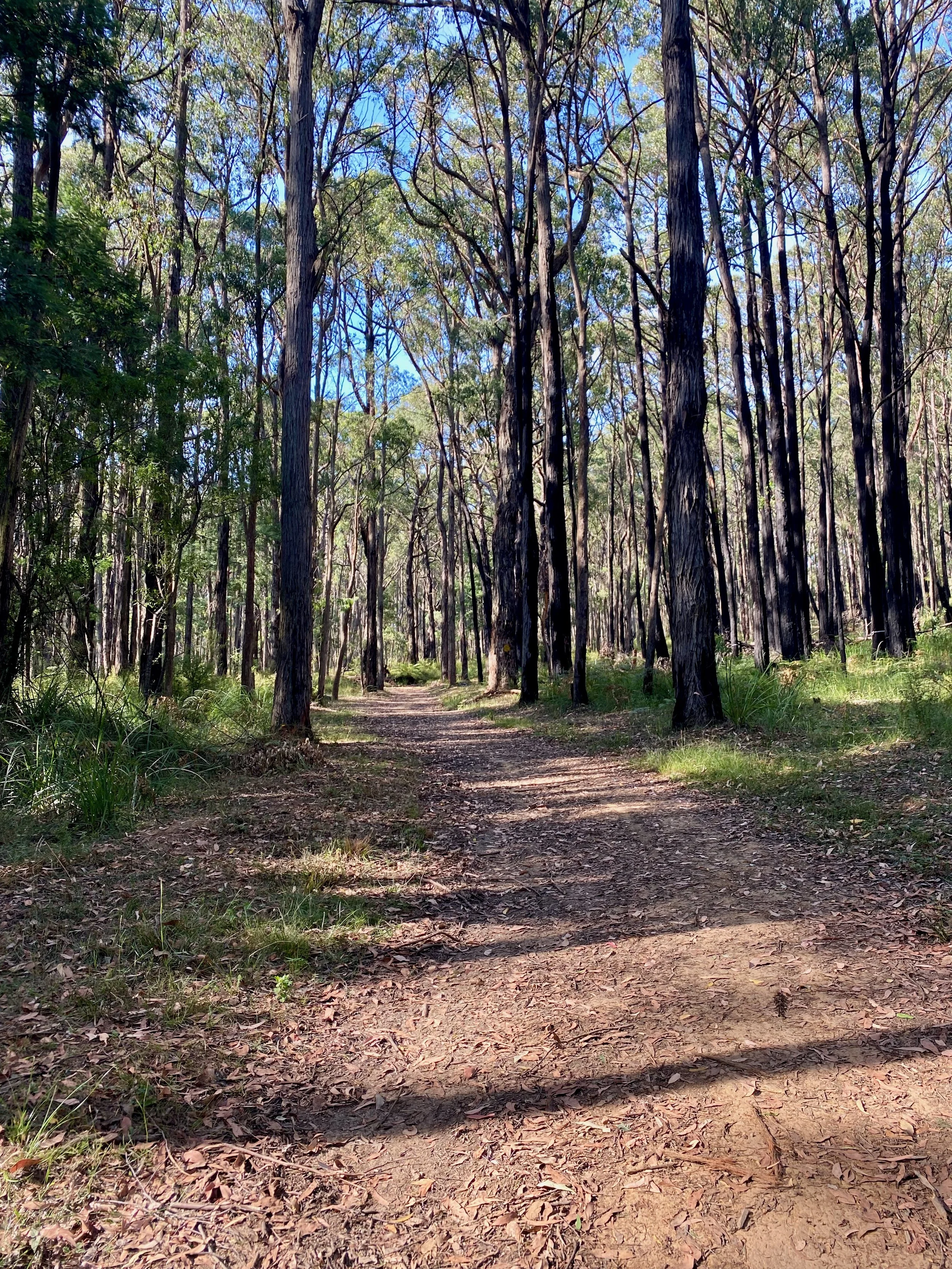 Week 6: A Middling Week