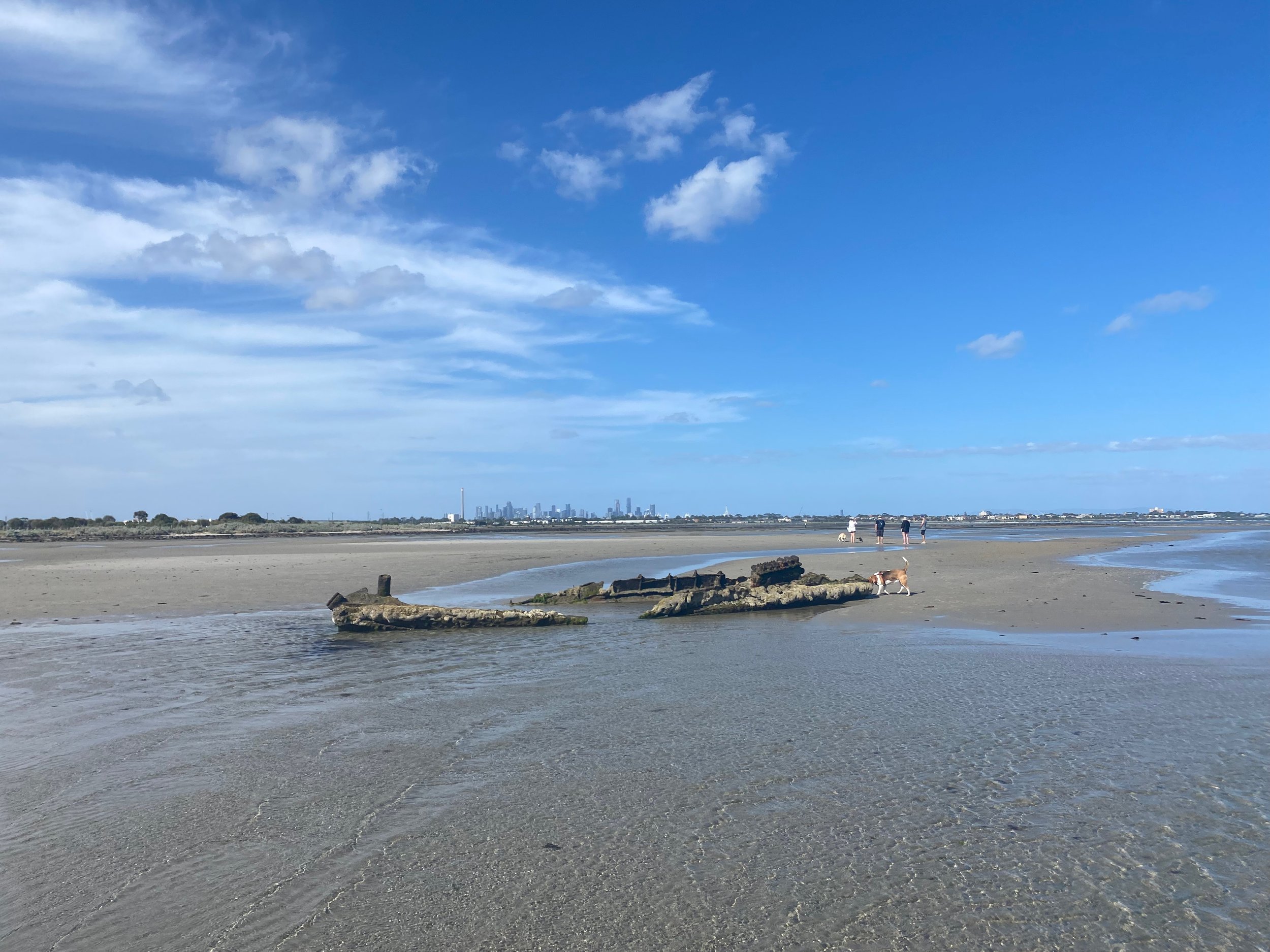 Week 8: A Derailment