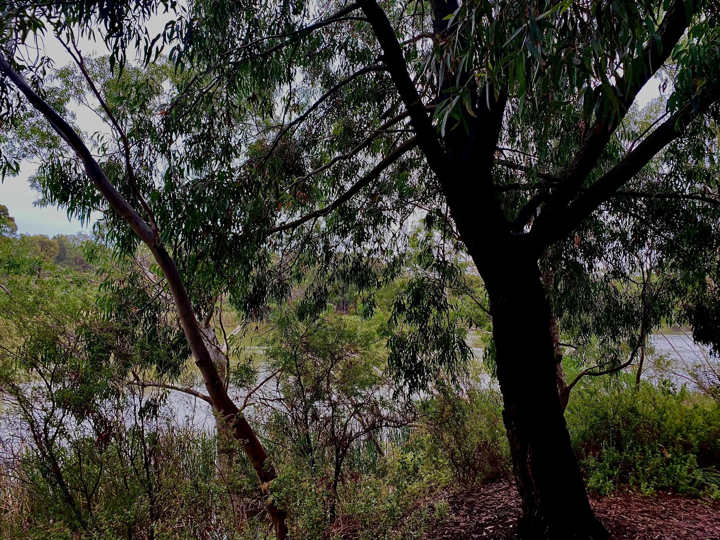 Week 9: Back on Track