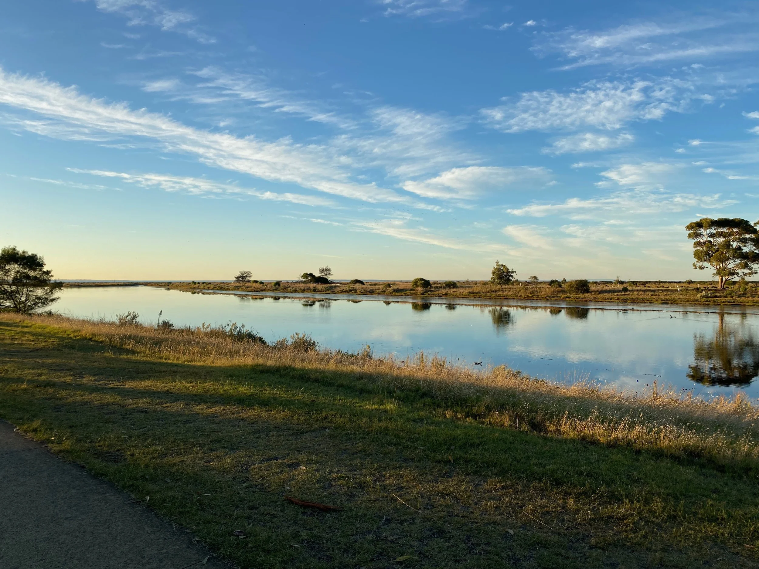 Week 14: A cold...not COVID