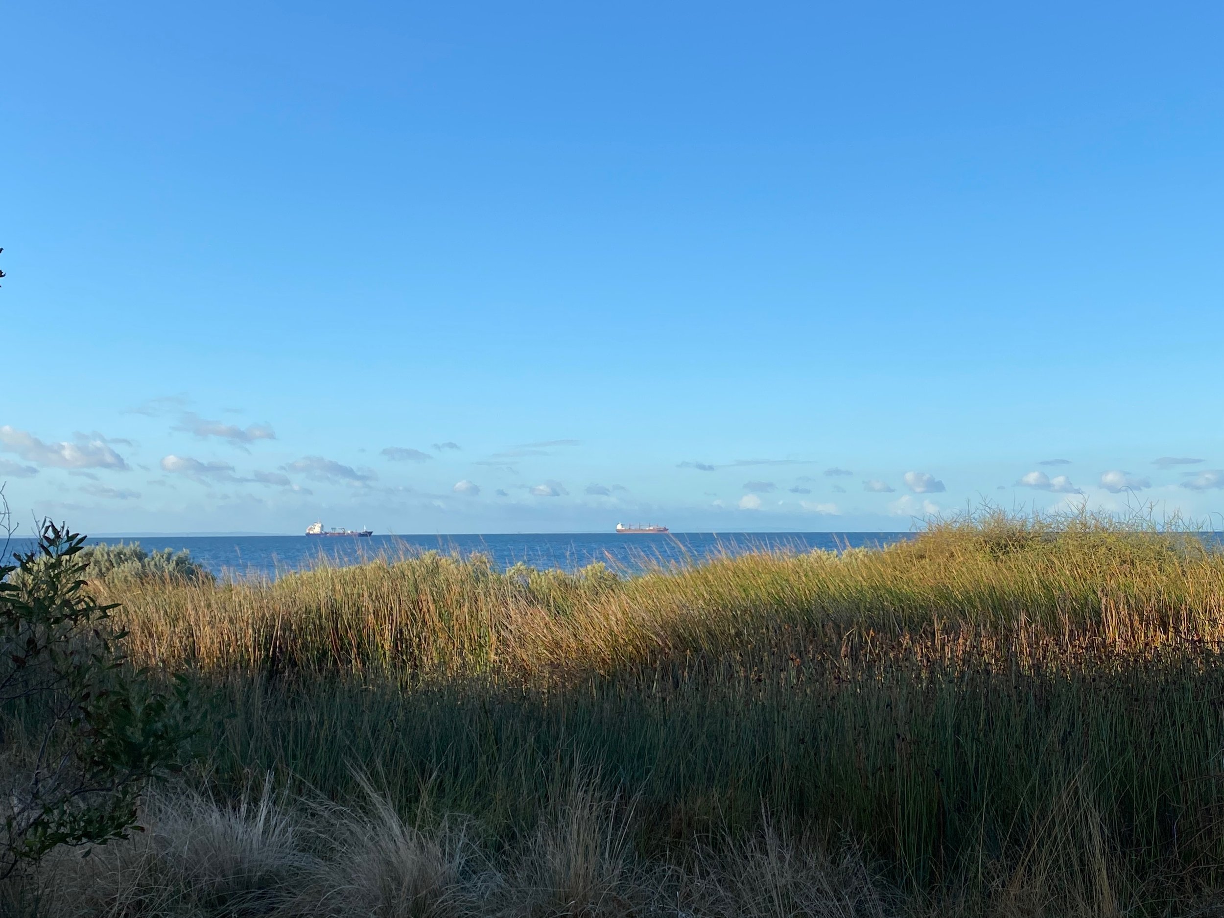 Week 17: A Semi-Realised Plan