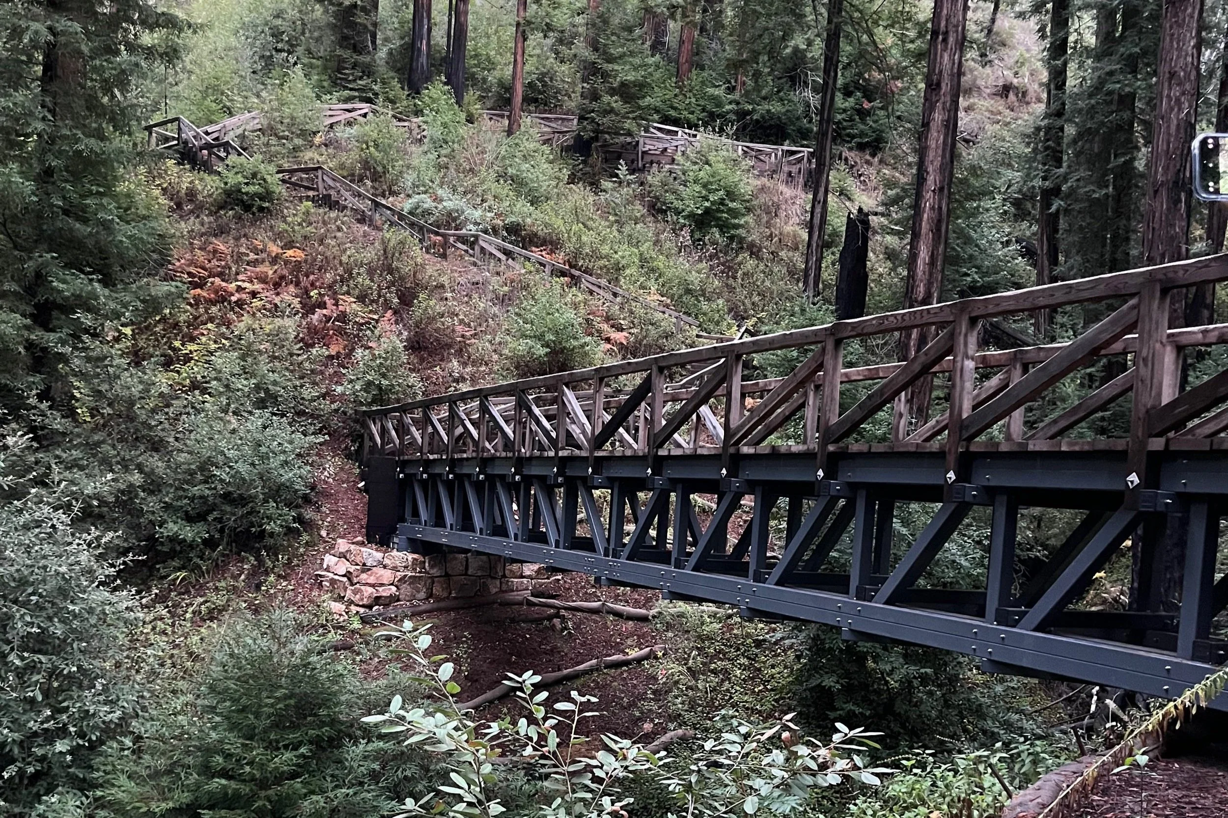 A bridge in the woods