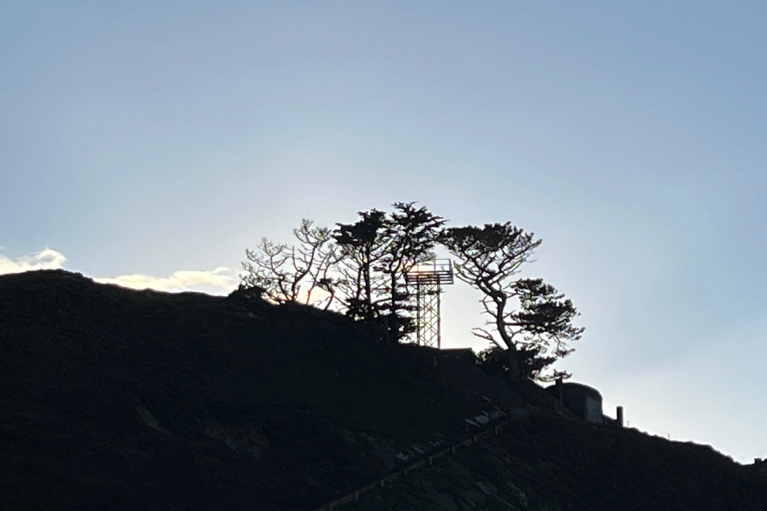 Sentry post in the trees