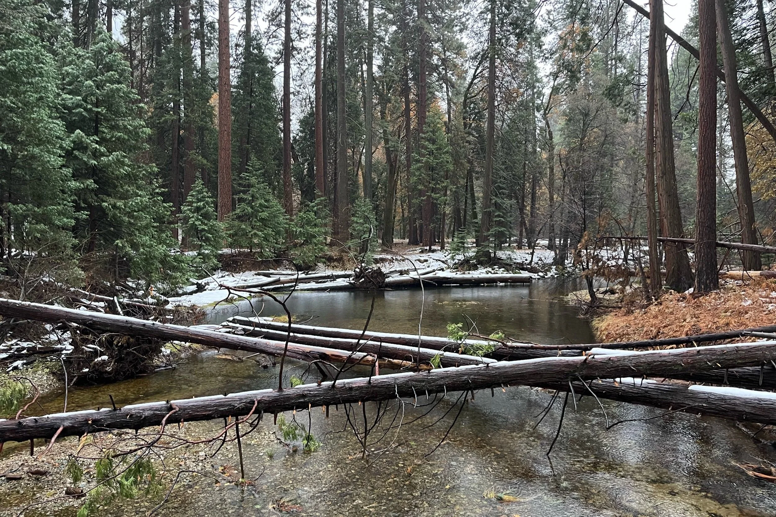 These Boots Were Made For Walking