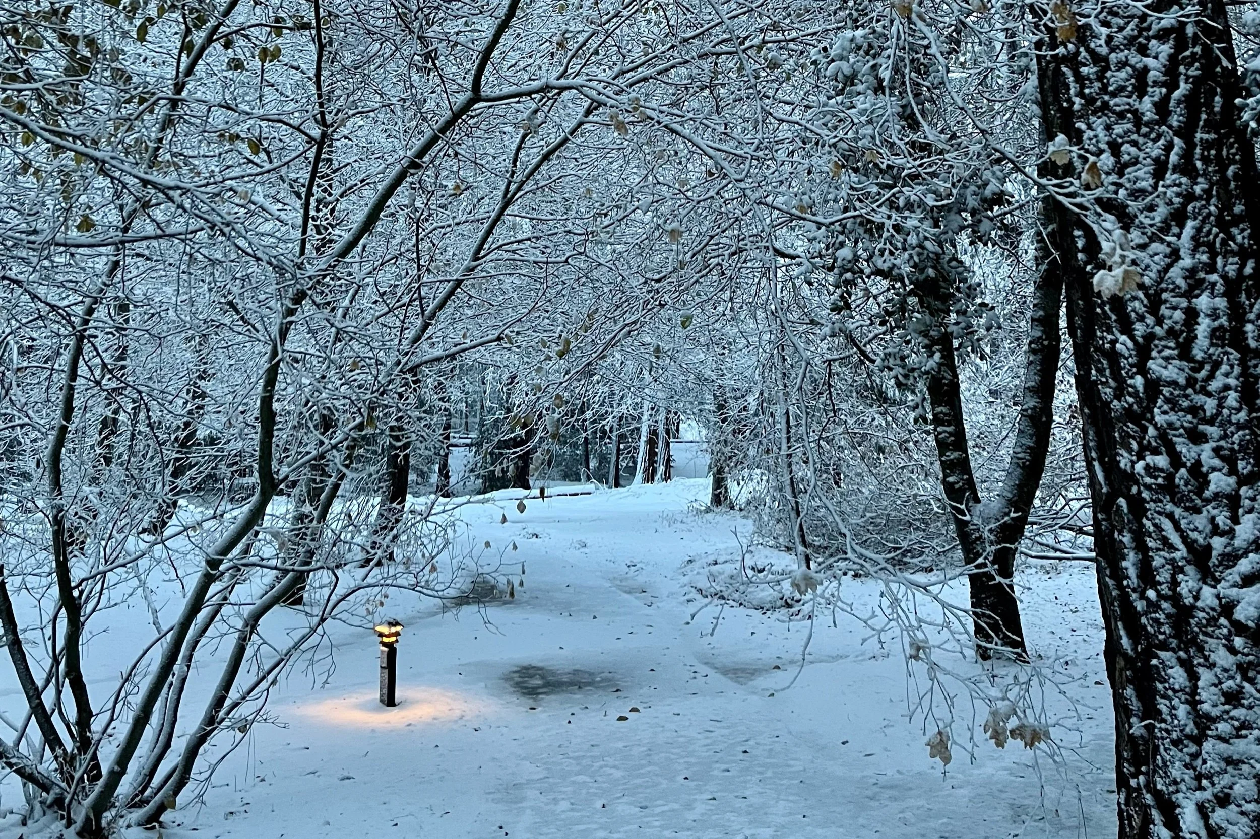 I Wouldn't Walk 500 Miles....