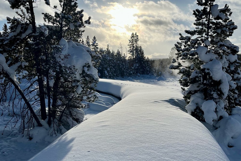 The lure of an unbroken trail. Just look at how pretty and innocuous it looks….