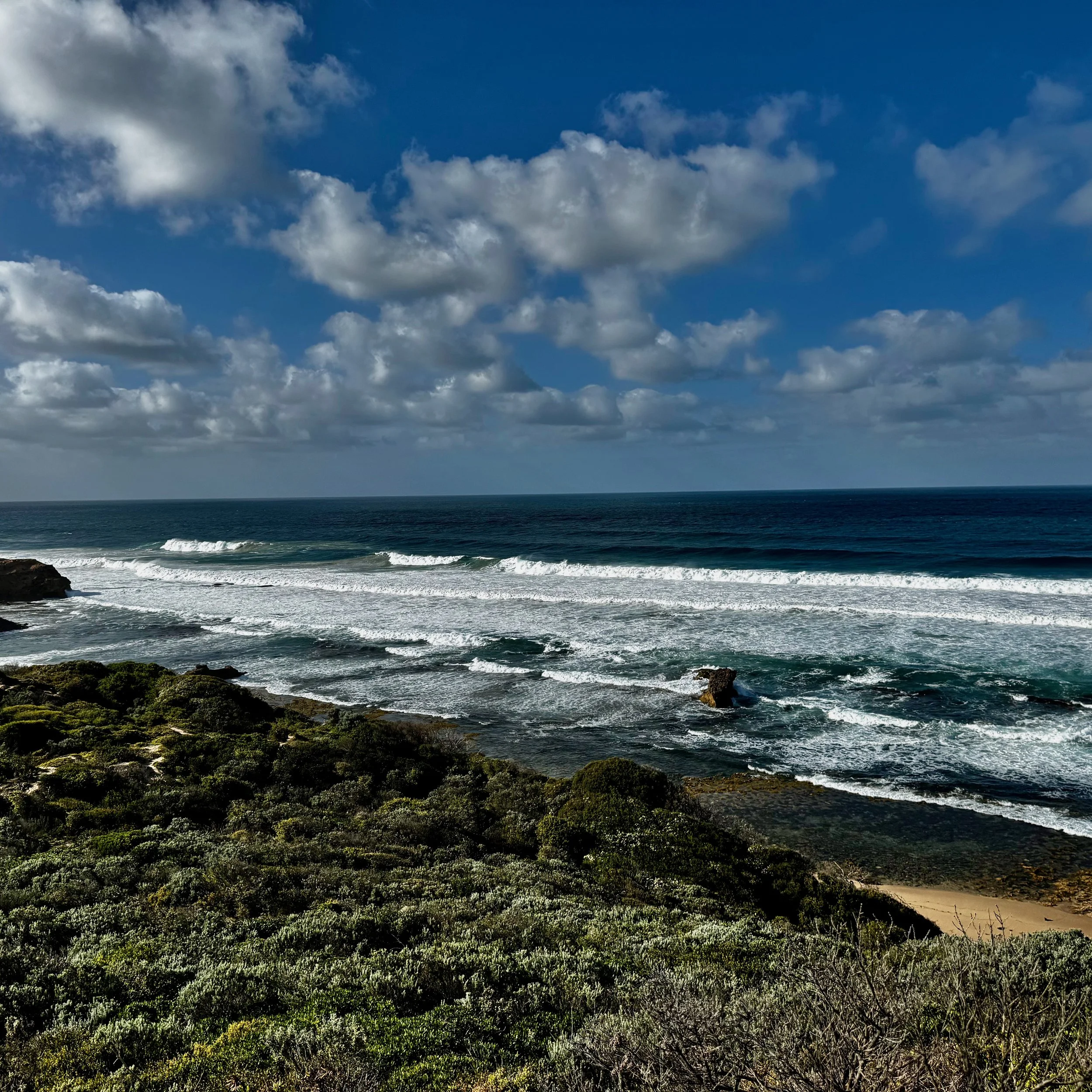 Point Napean via Coles Track